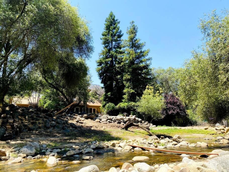 Sequoia Cabin by the River