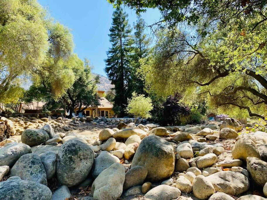 Sequoia Cabin by the River