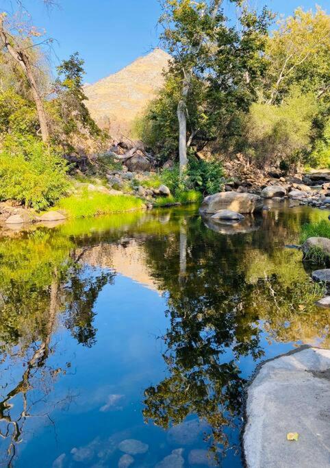 Sequoia Cabin by the River