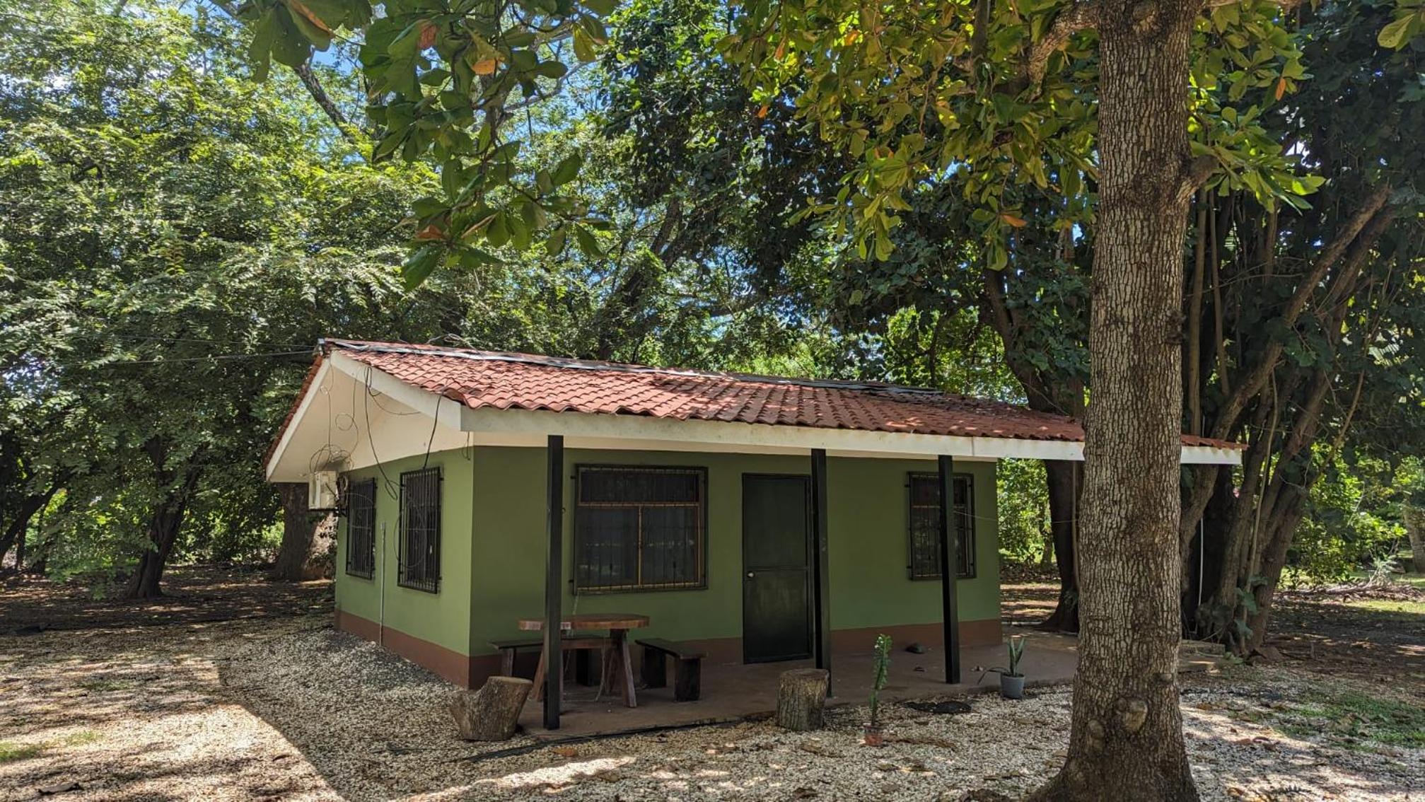 Iguana Street Houses