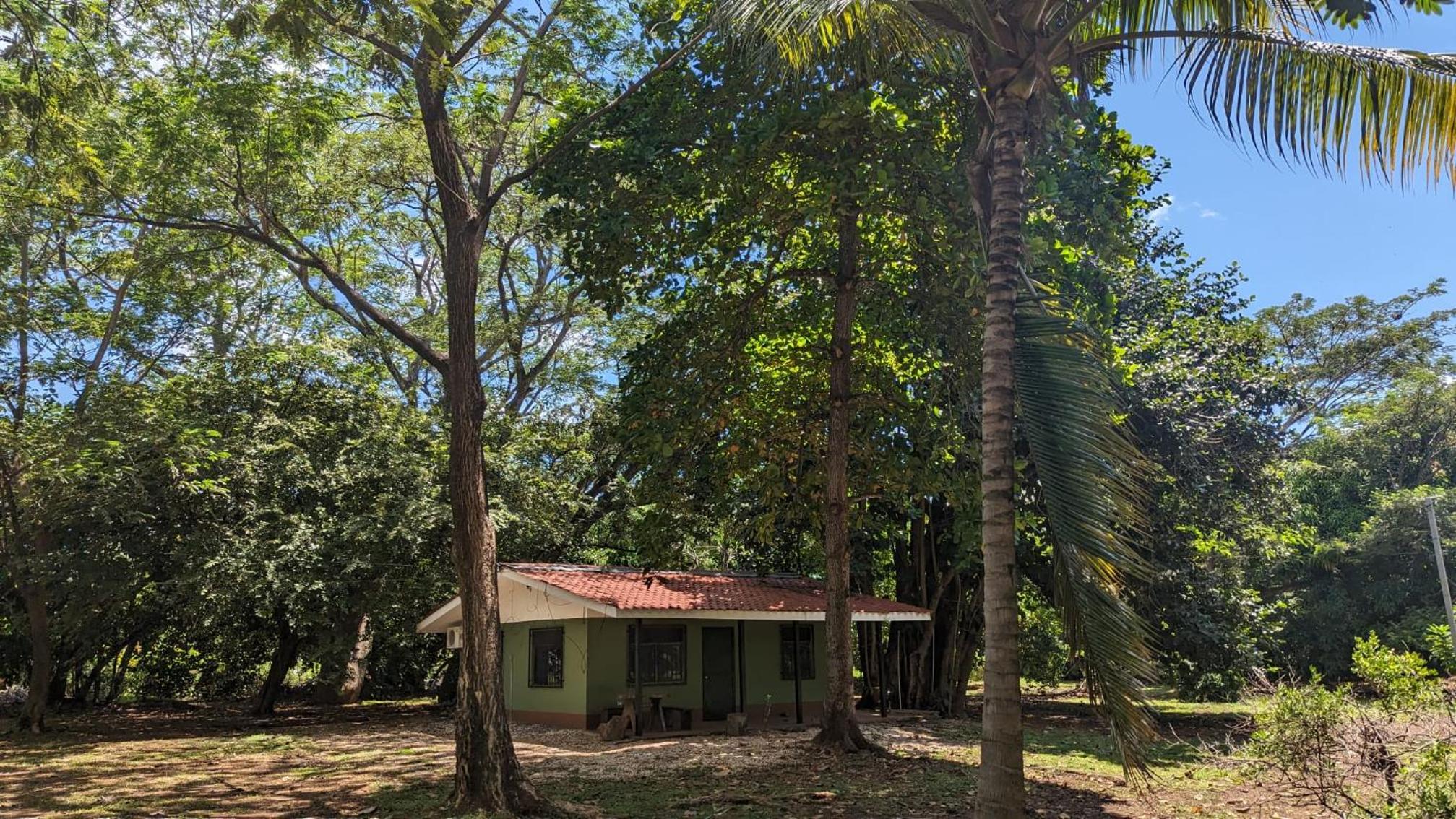 Iguana Street Houses