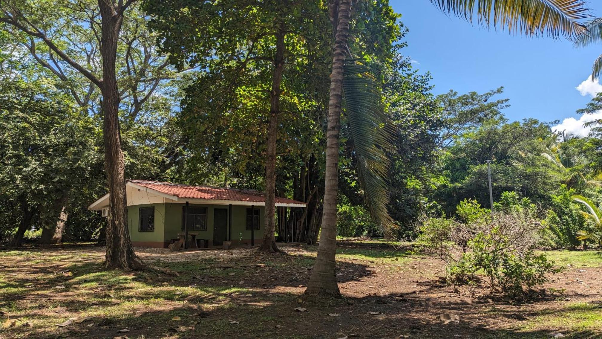 Iguana Street Houses