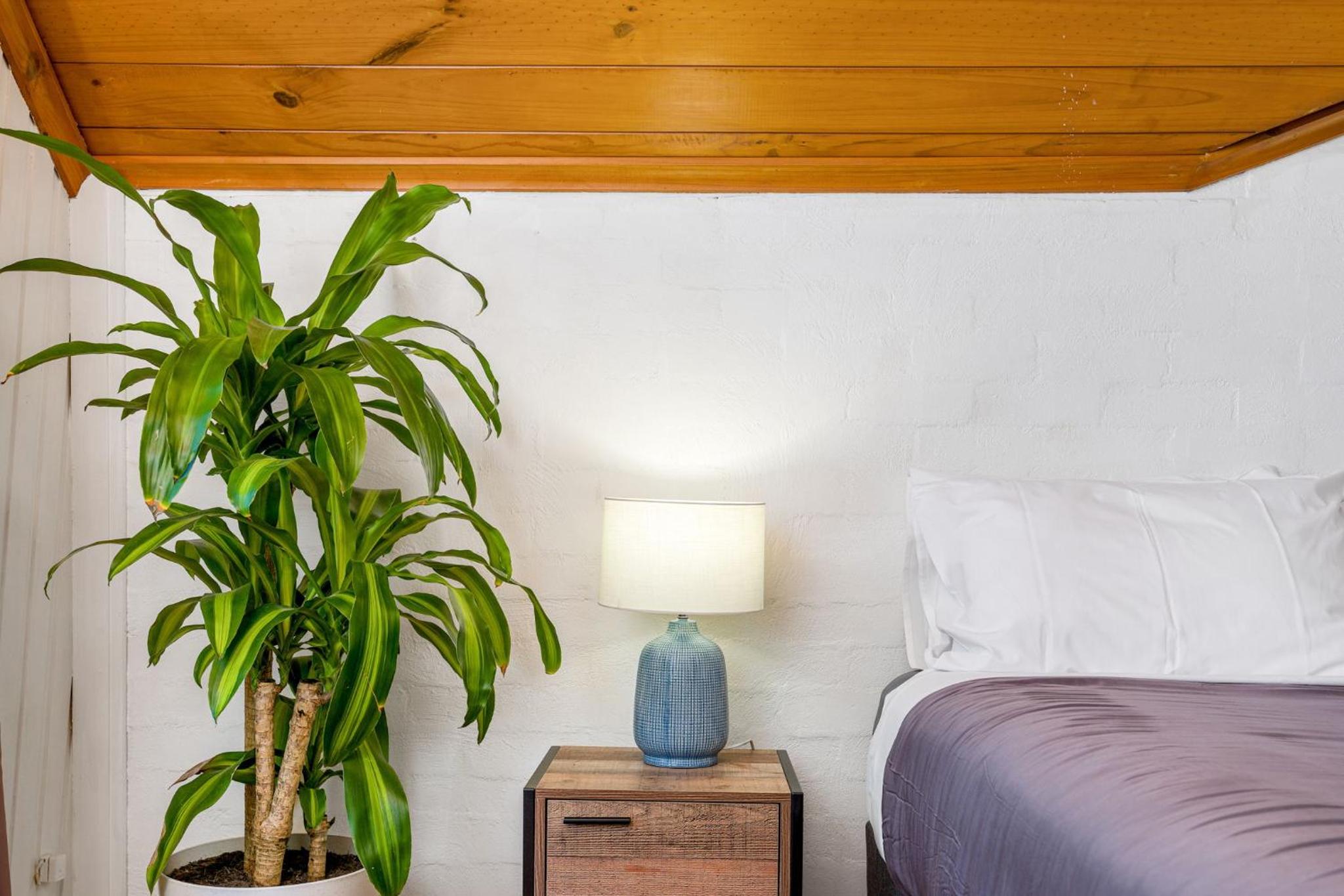 Aquarius Backpackers Resort