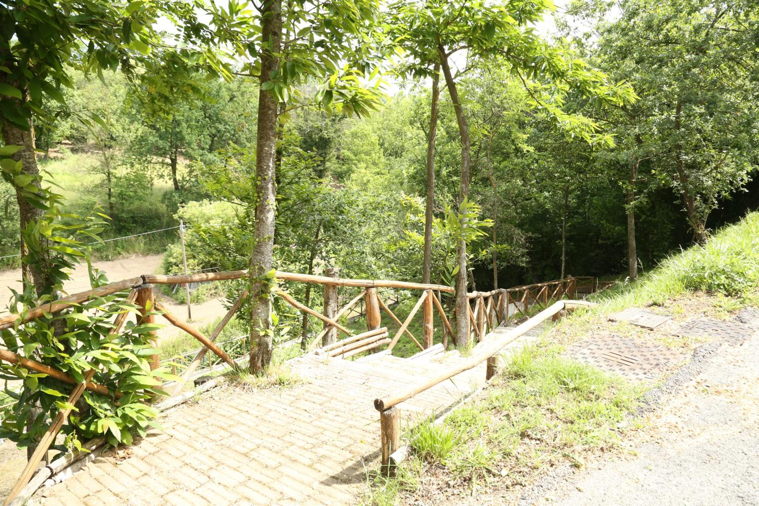 Photo 48