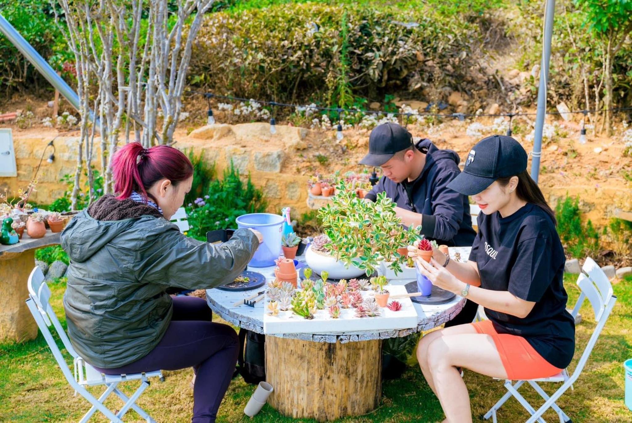 Cloud9 & Cloud View Glamping view 5