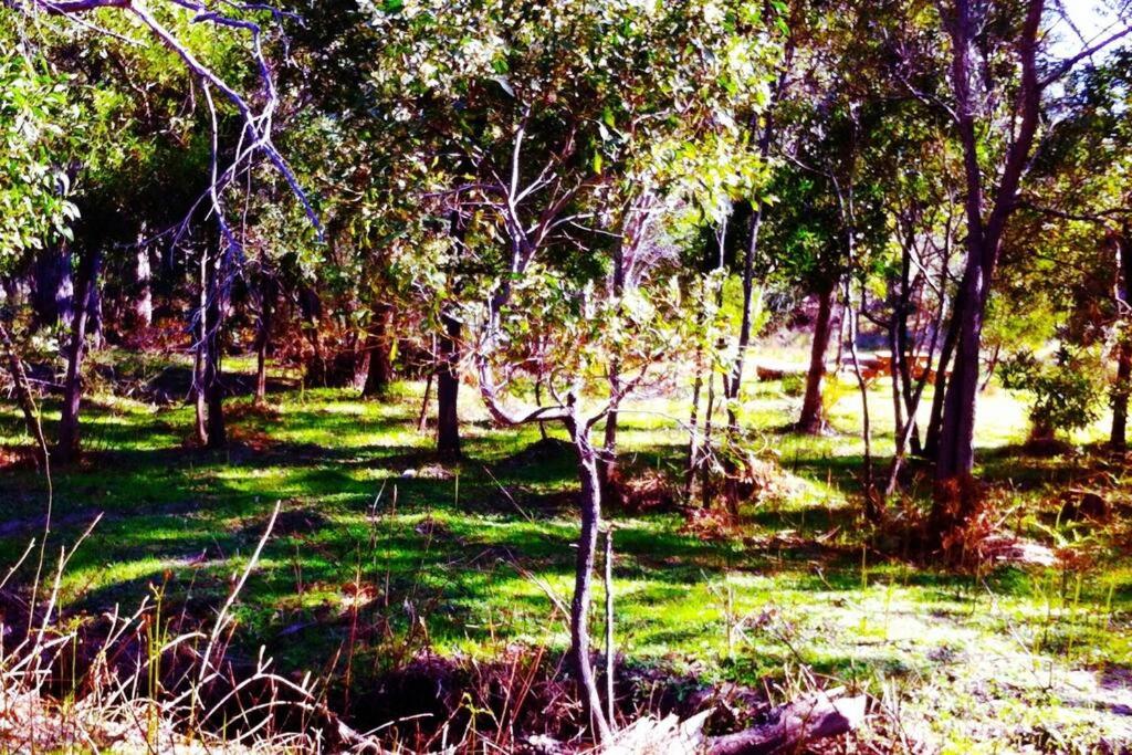 Oakchester Cottage on Bruny Island