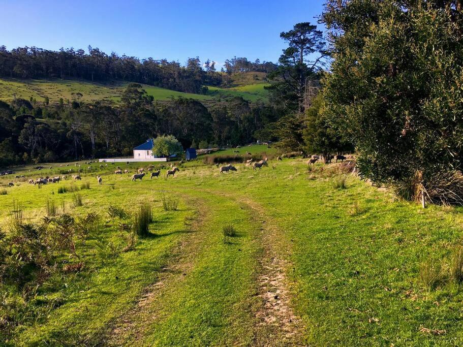 Oakchester Cottage on Bruny Island