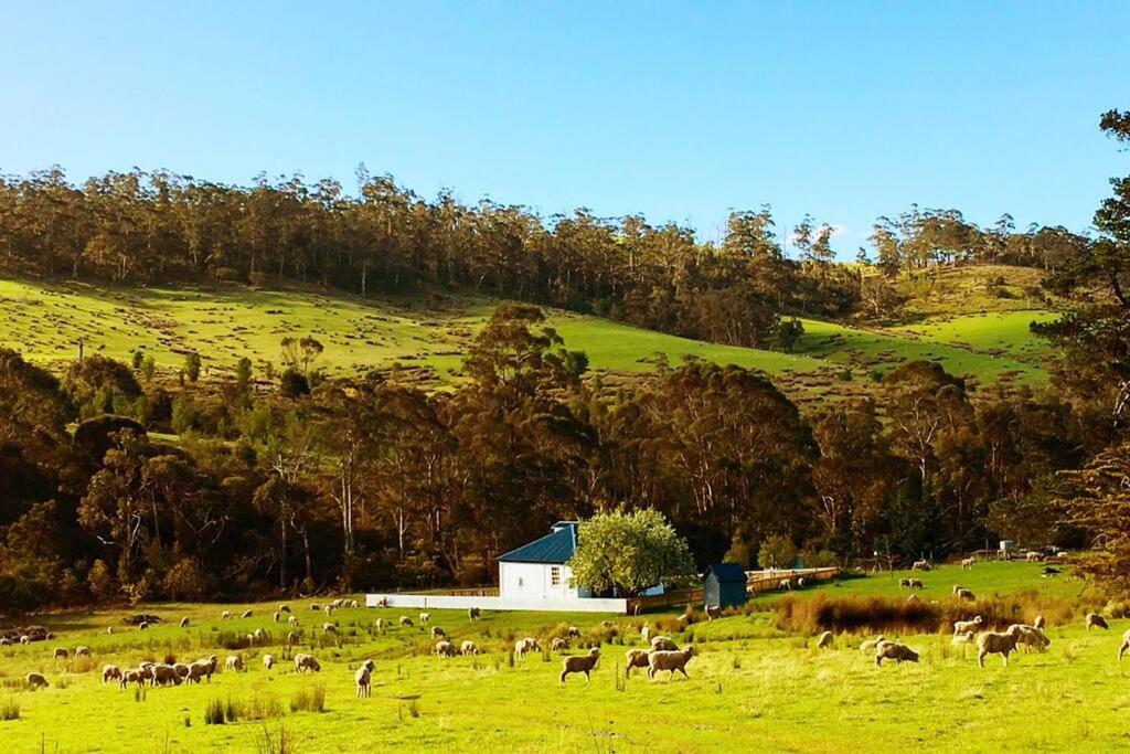 Oakchester Cottage on Bruny Island