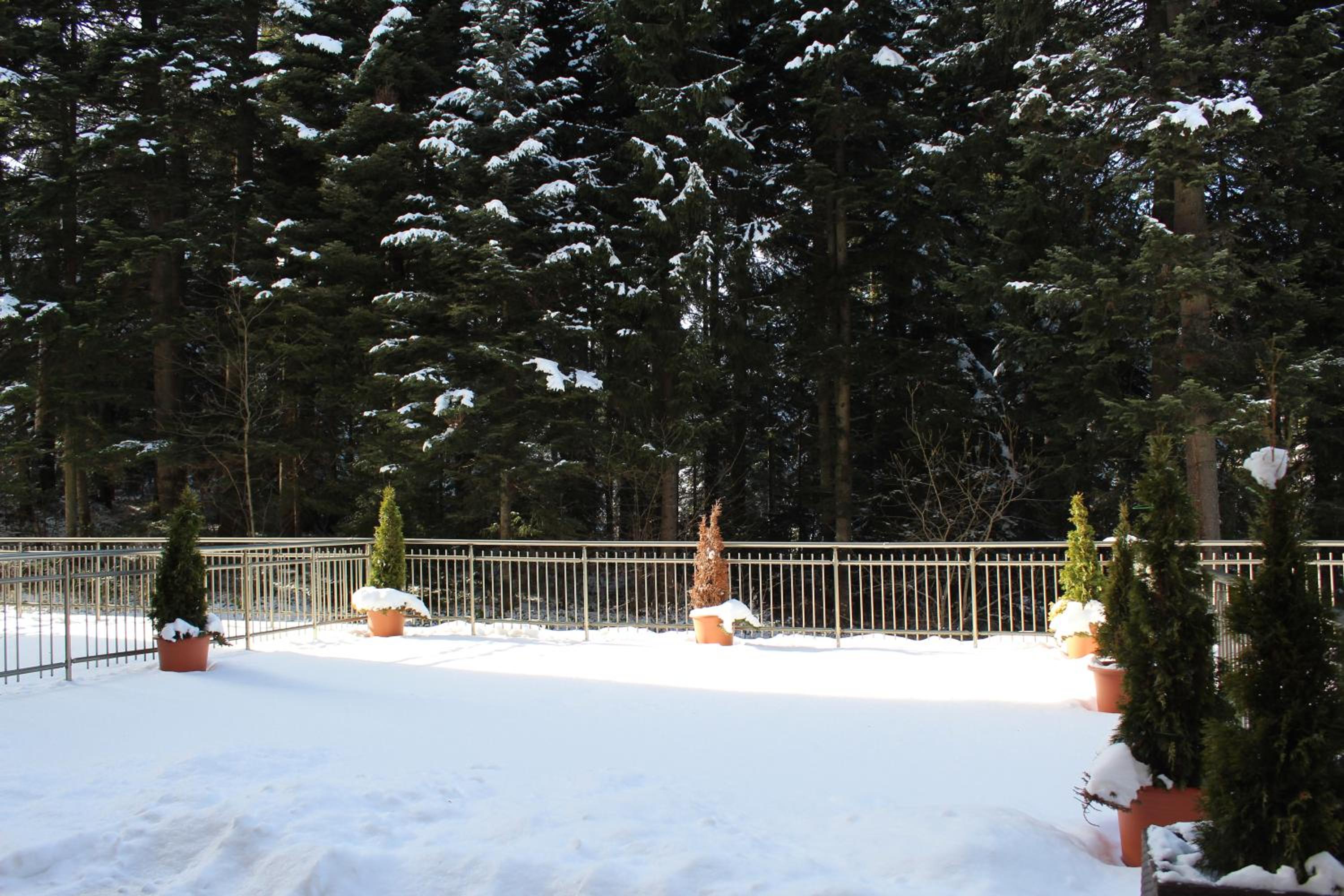 Stylish one bedroomed apartment 112 in main Flora building