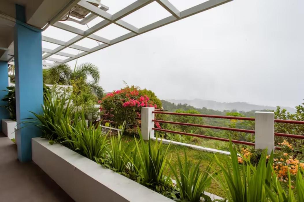 Casa Noah, photo 19
