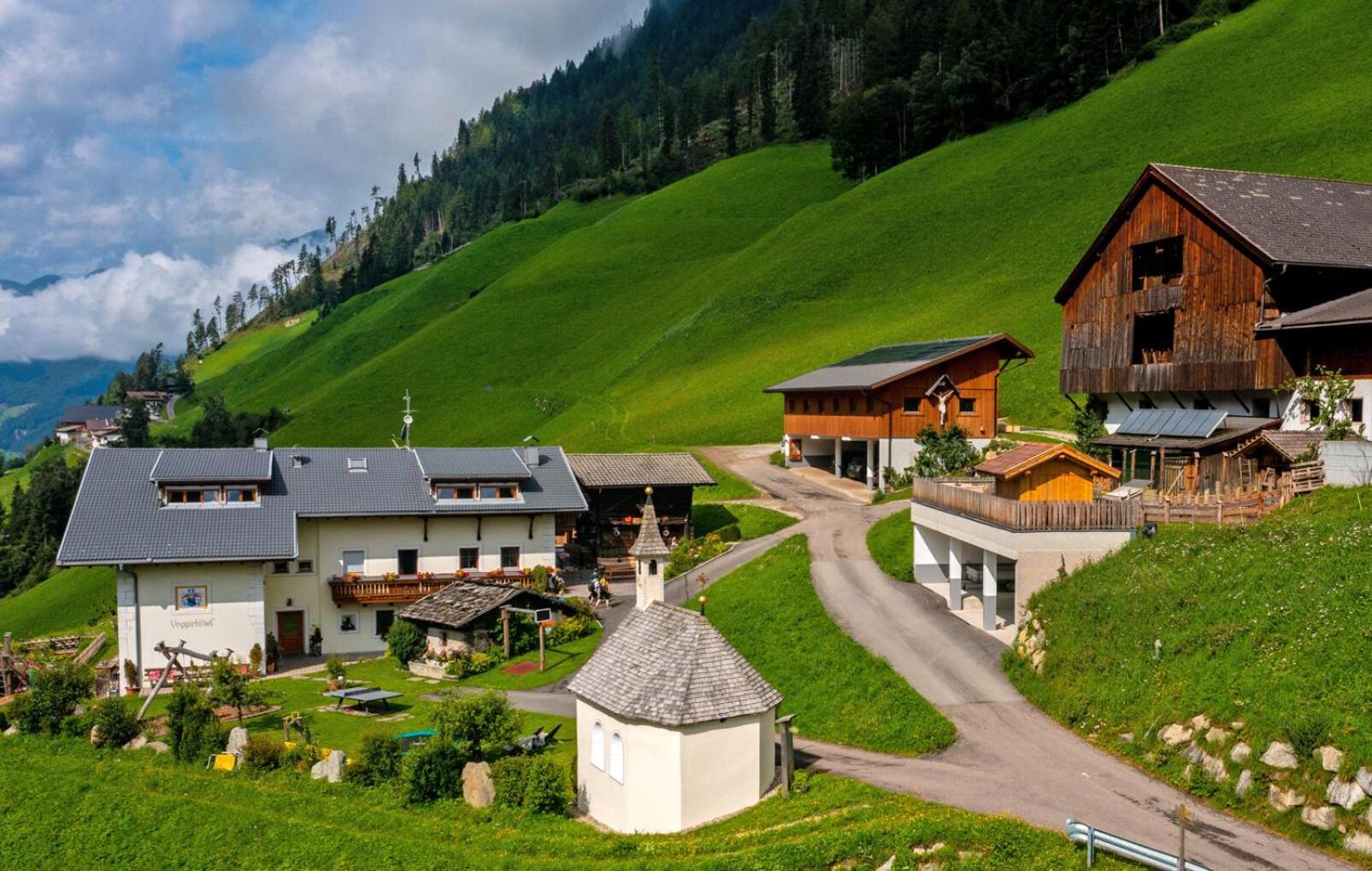 Voppichlhof App Arnika view 4
