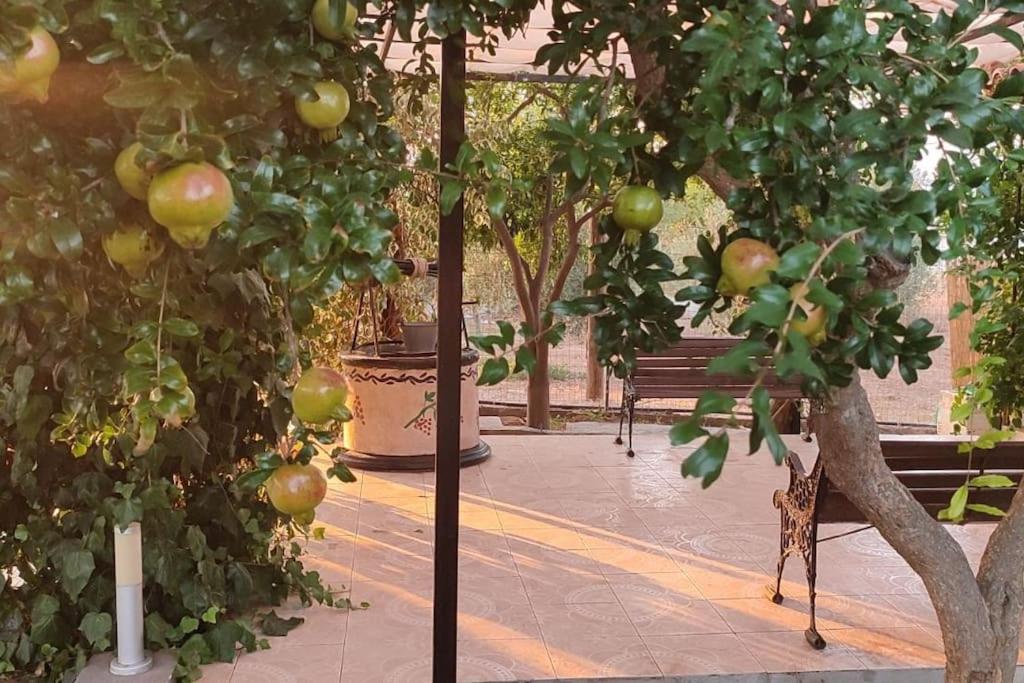 garden house nafplio