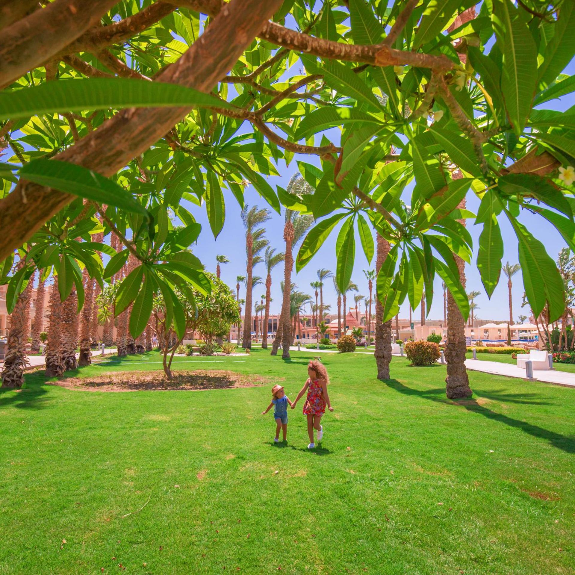 Beach Albatros Aqua Park - Hurghada view 5