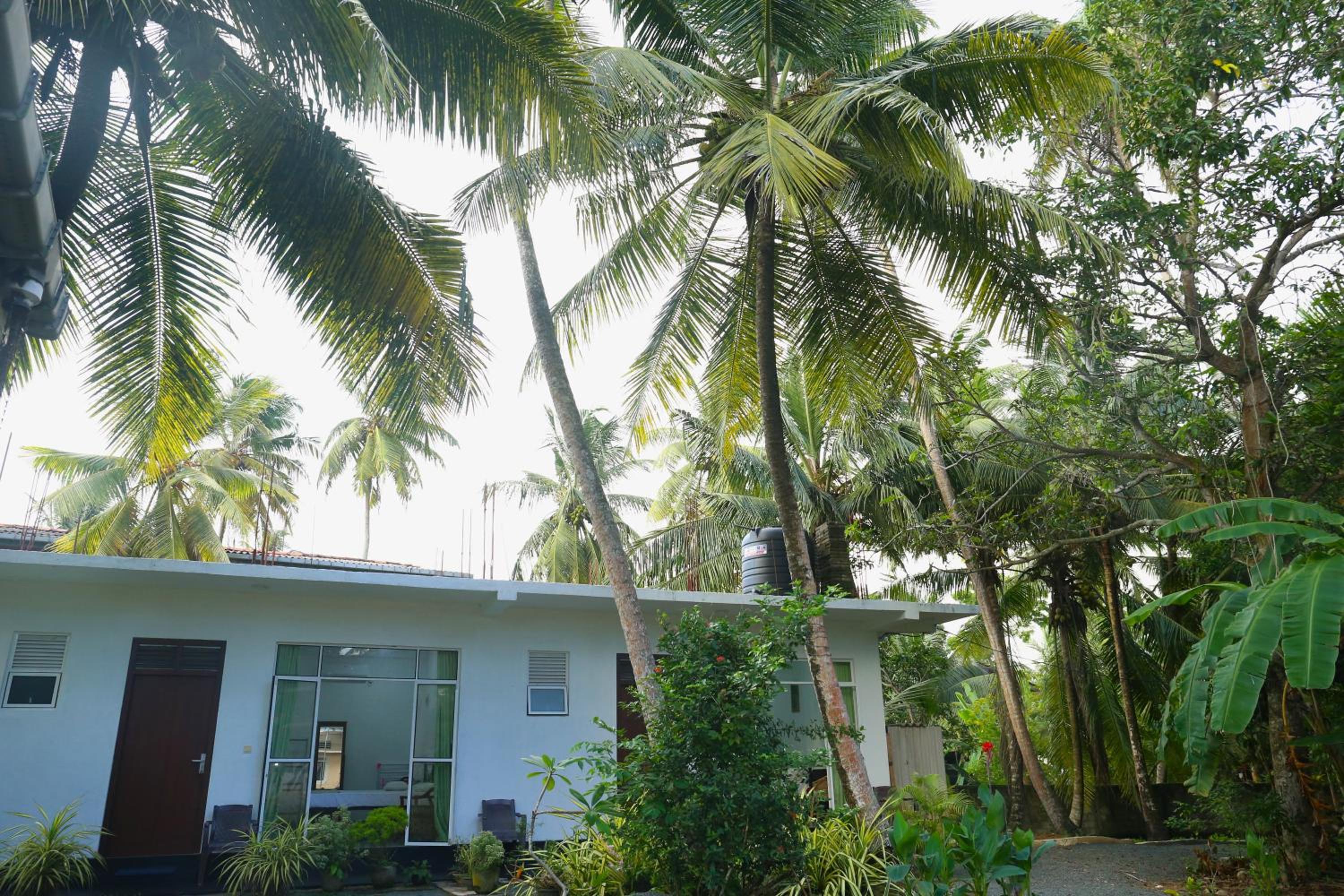 Sandy Palms Guesthouse