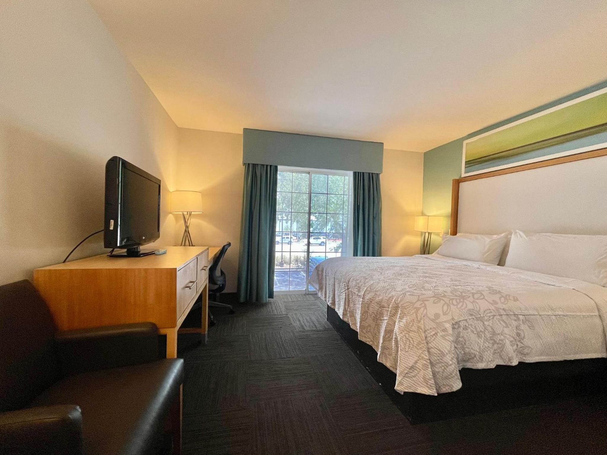 Red Roof Inn PLUS & Suites Tampa - Busch Gardens, Photo 33