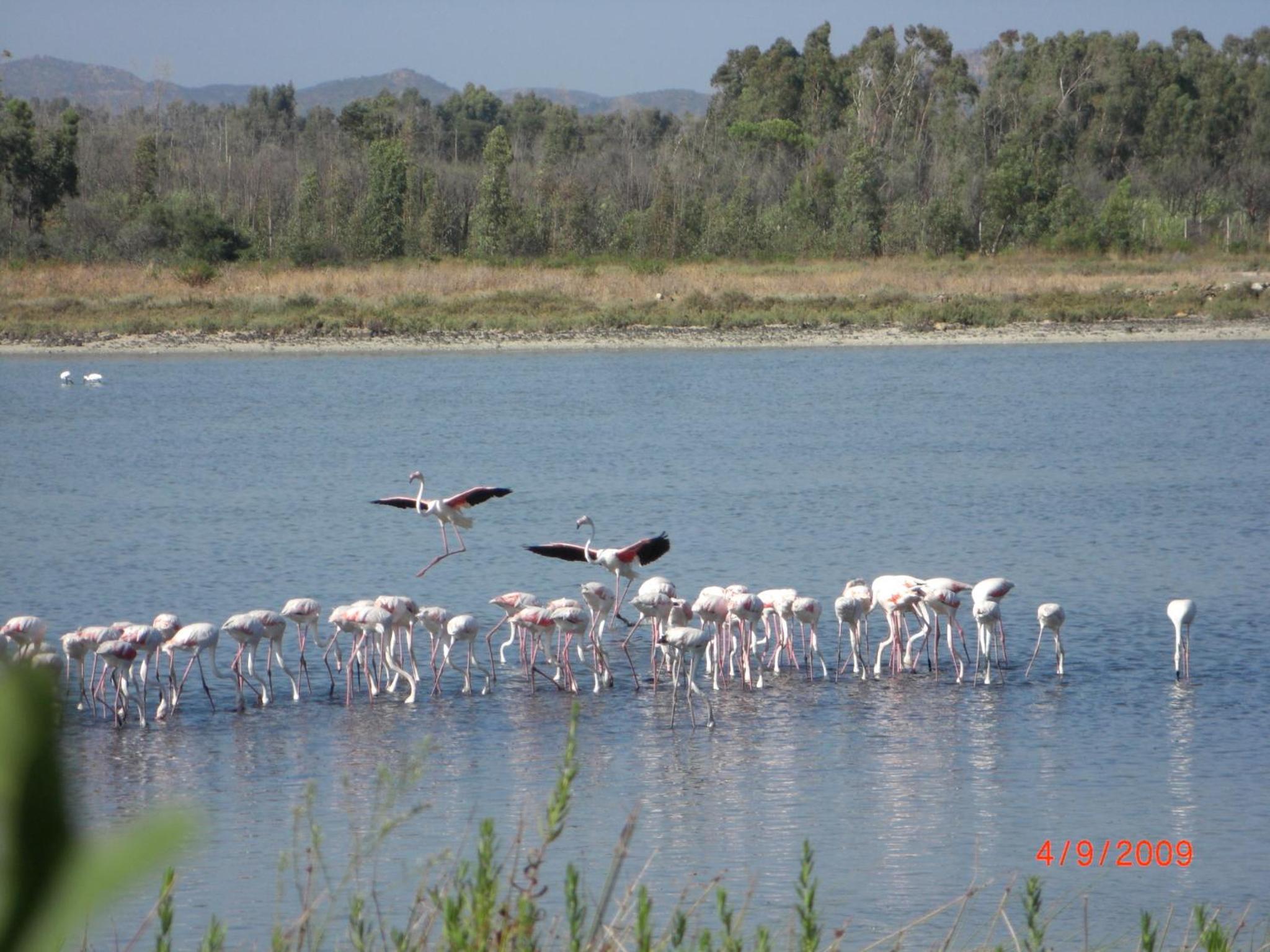 Villaggio Camping Torre Salinas