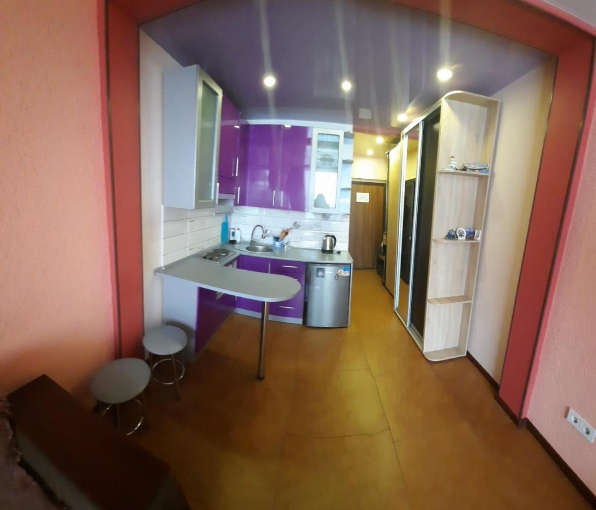 Studio Apartment near Akademika Pavlova Metro view 2