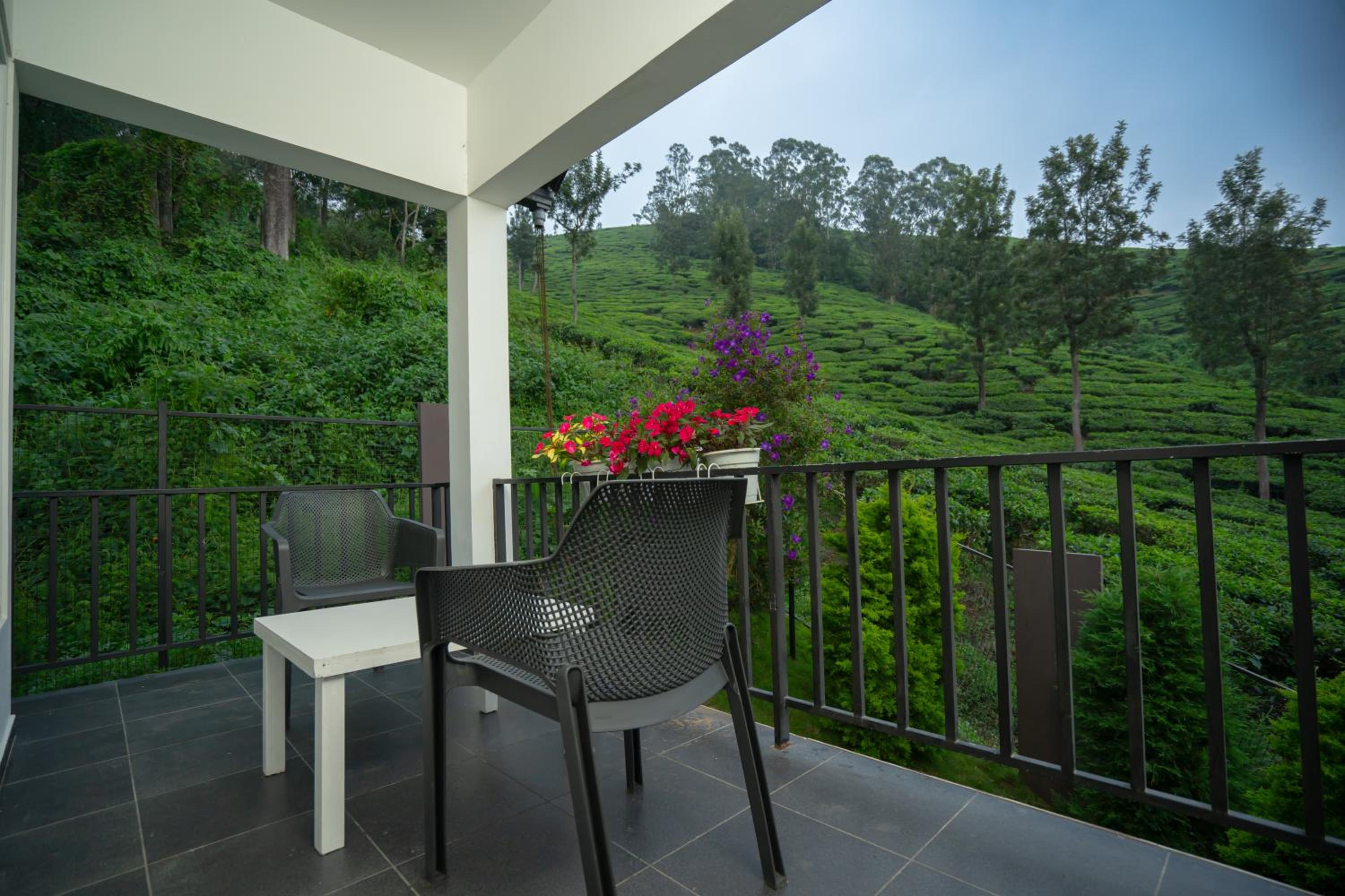 balance & terrace
