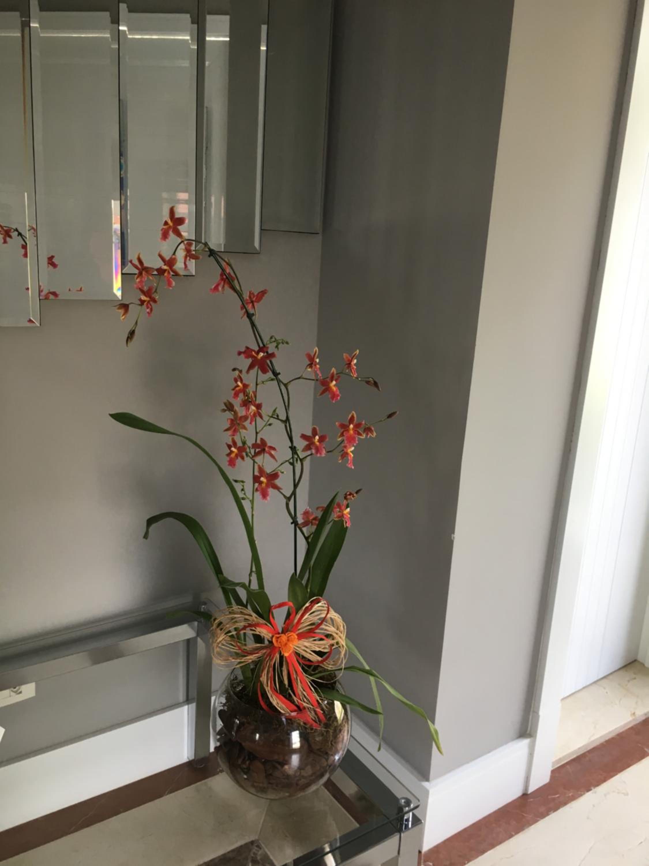 ResidencialCollins casa 788