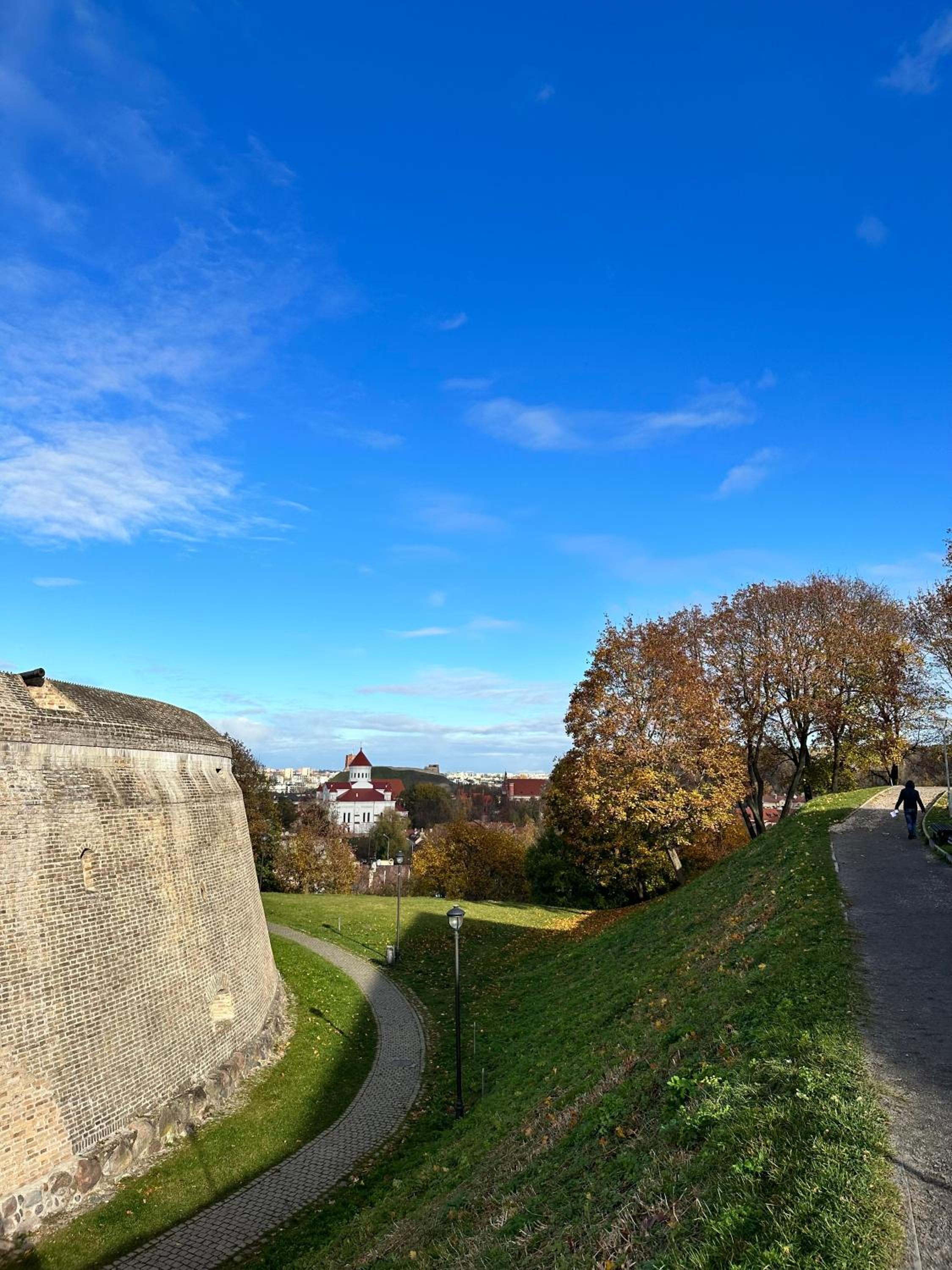 Photo 48