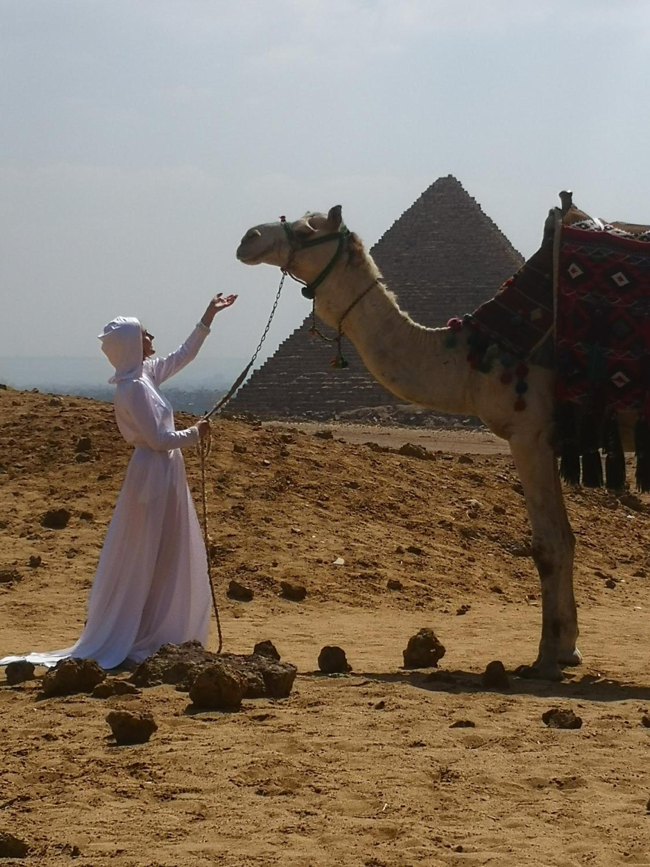 EGYPT Fair Deal