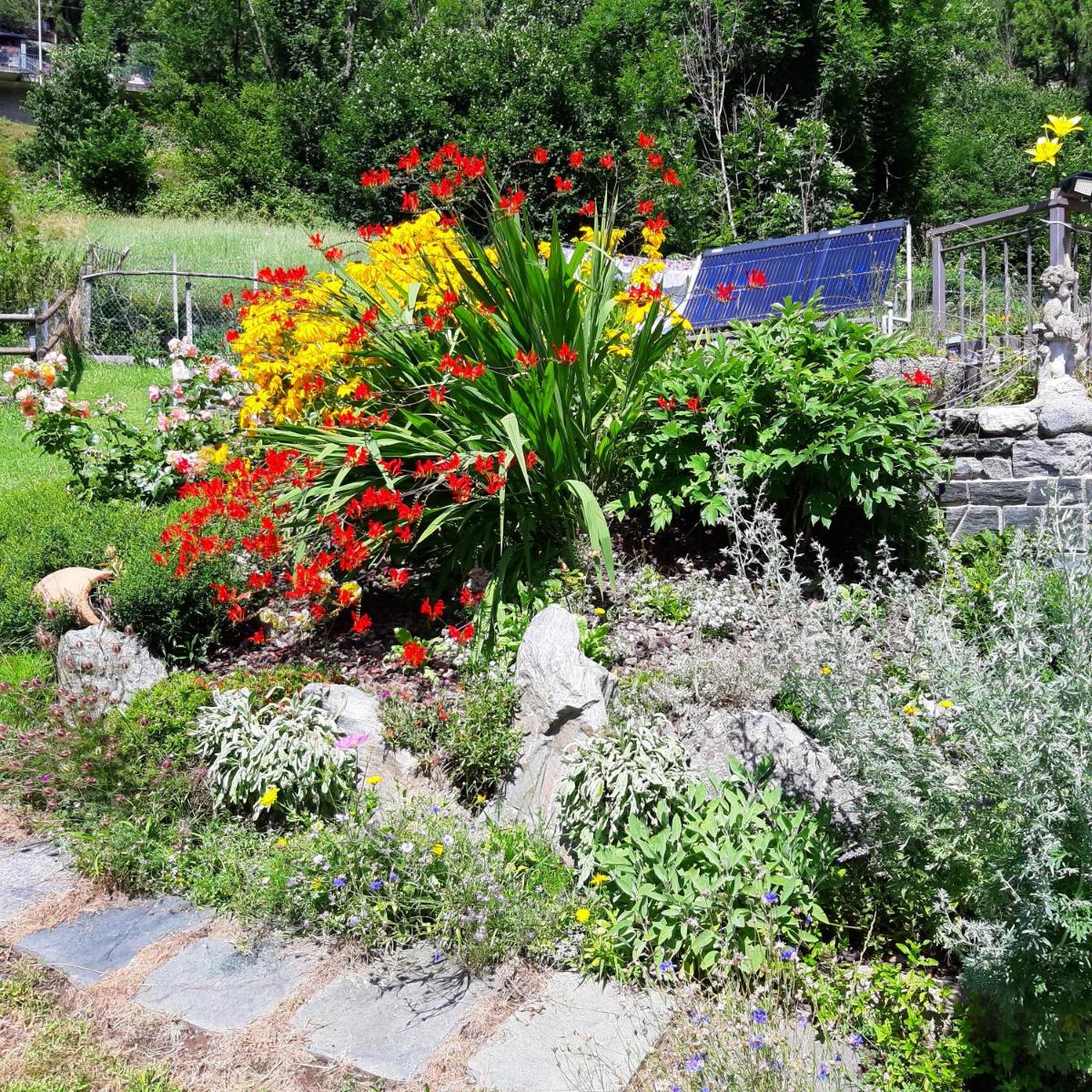 Photo 25