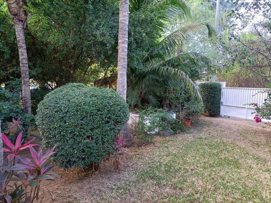 Photo 13