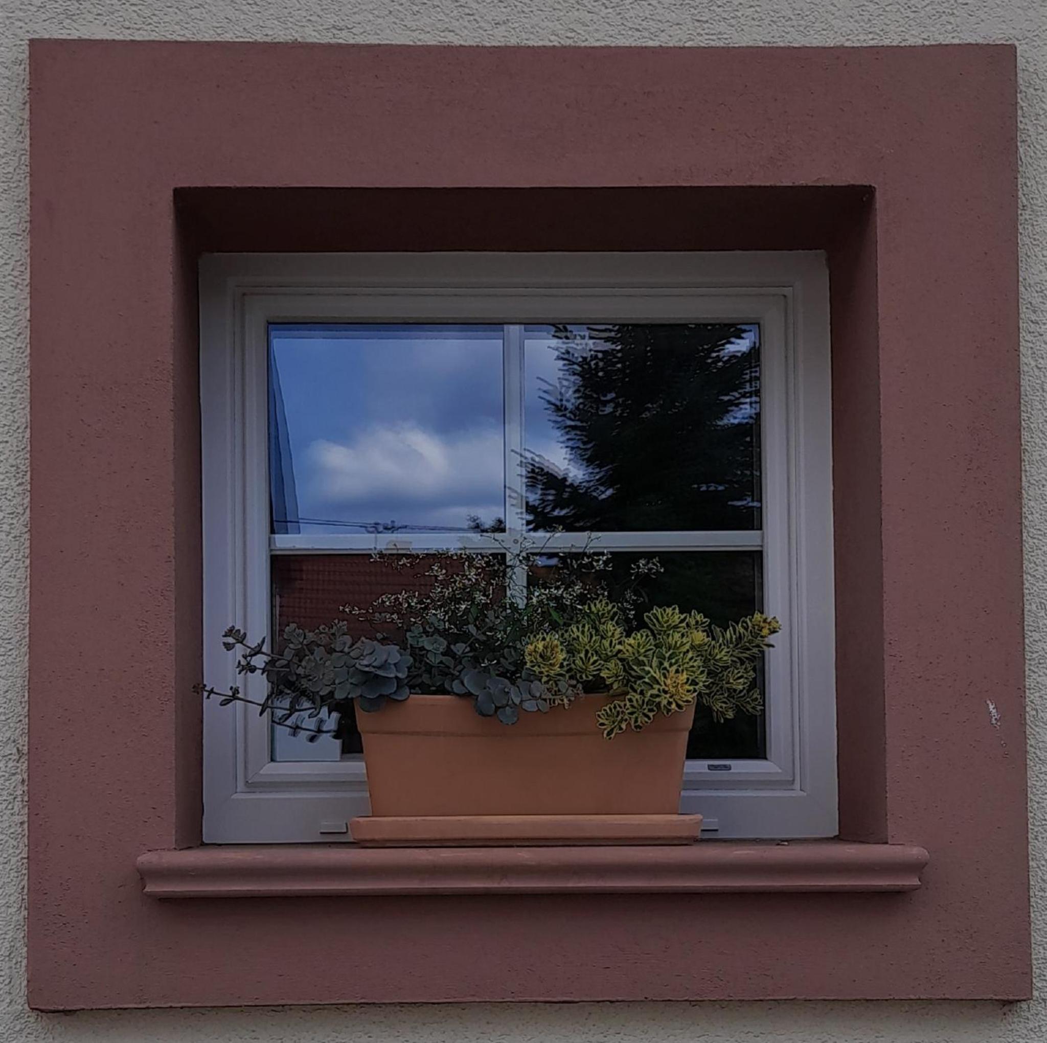 Ferienwohnungen 
