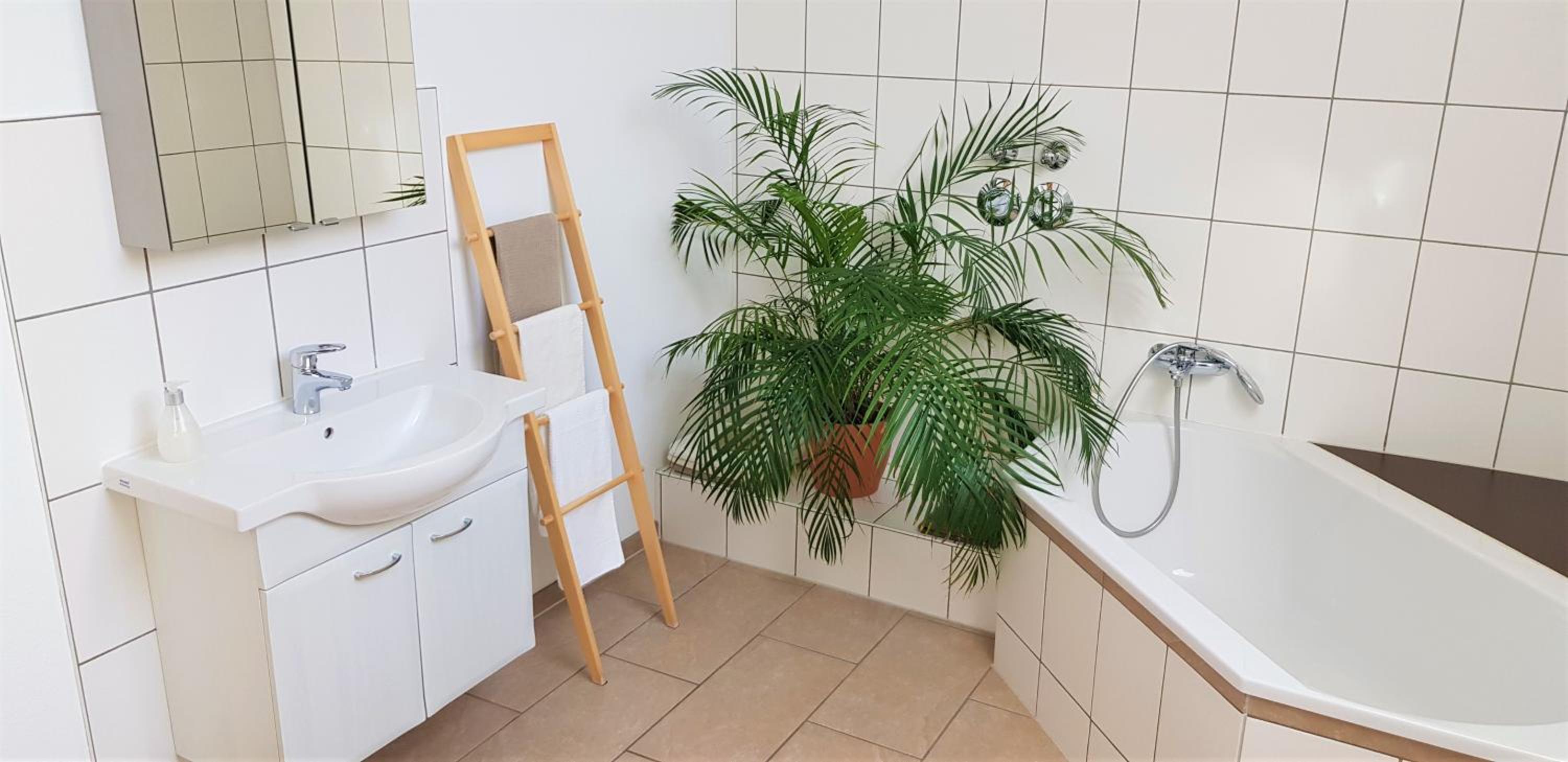 Ferienwohnungen 