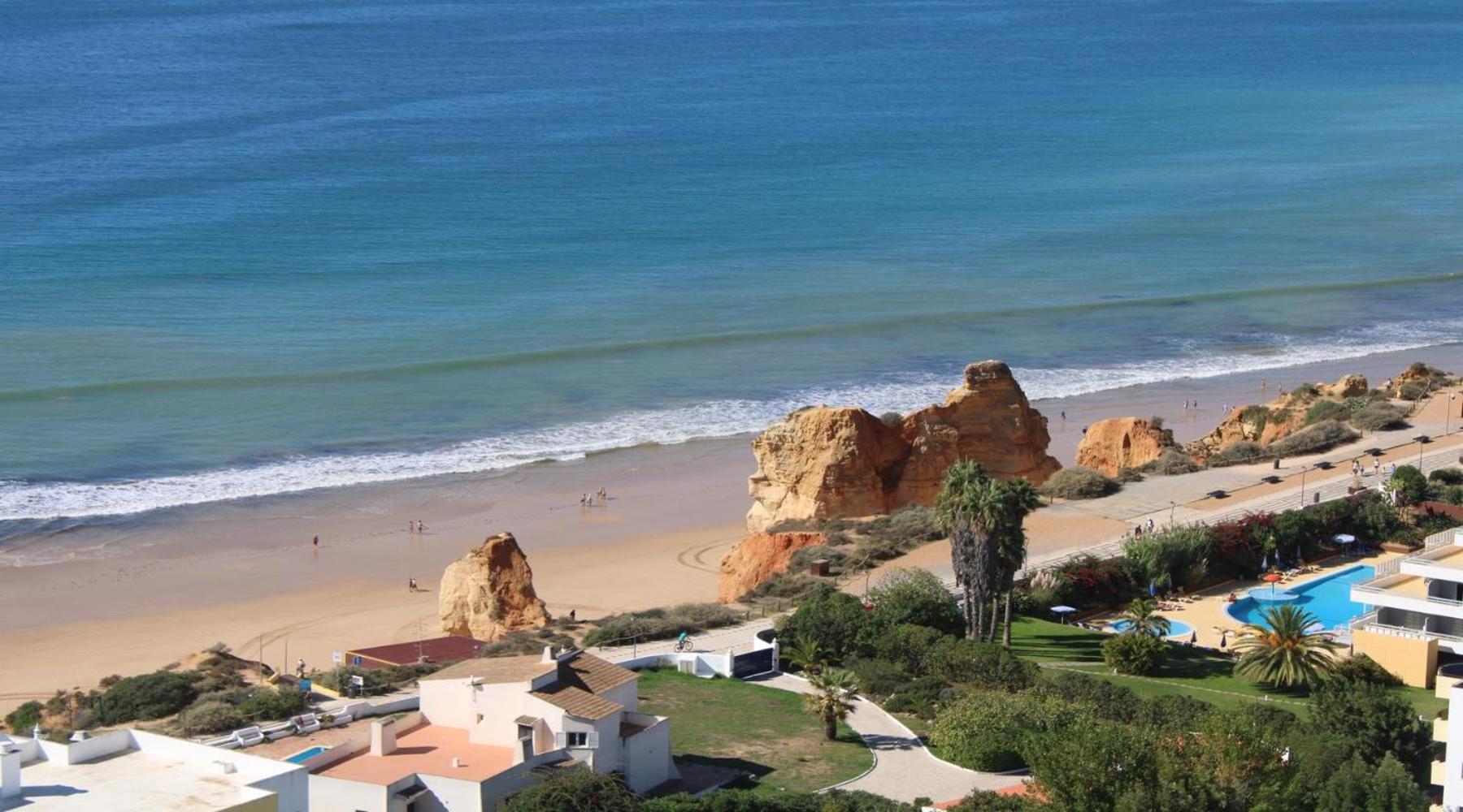 Casa Jardins da Rocha view 5