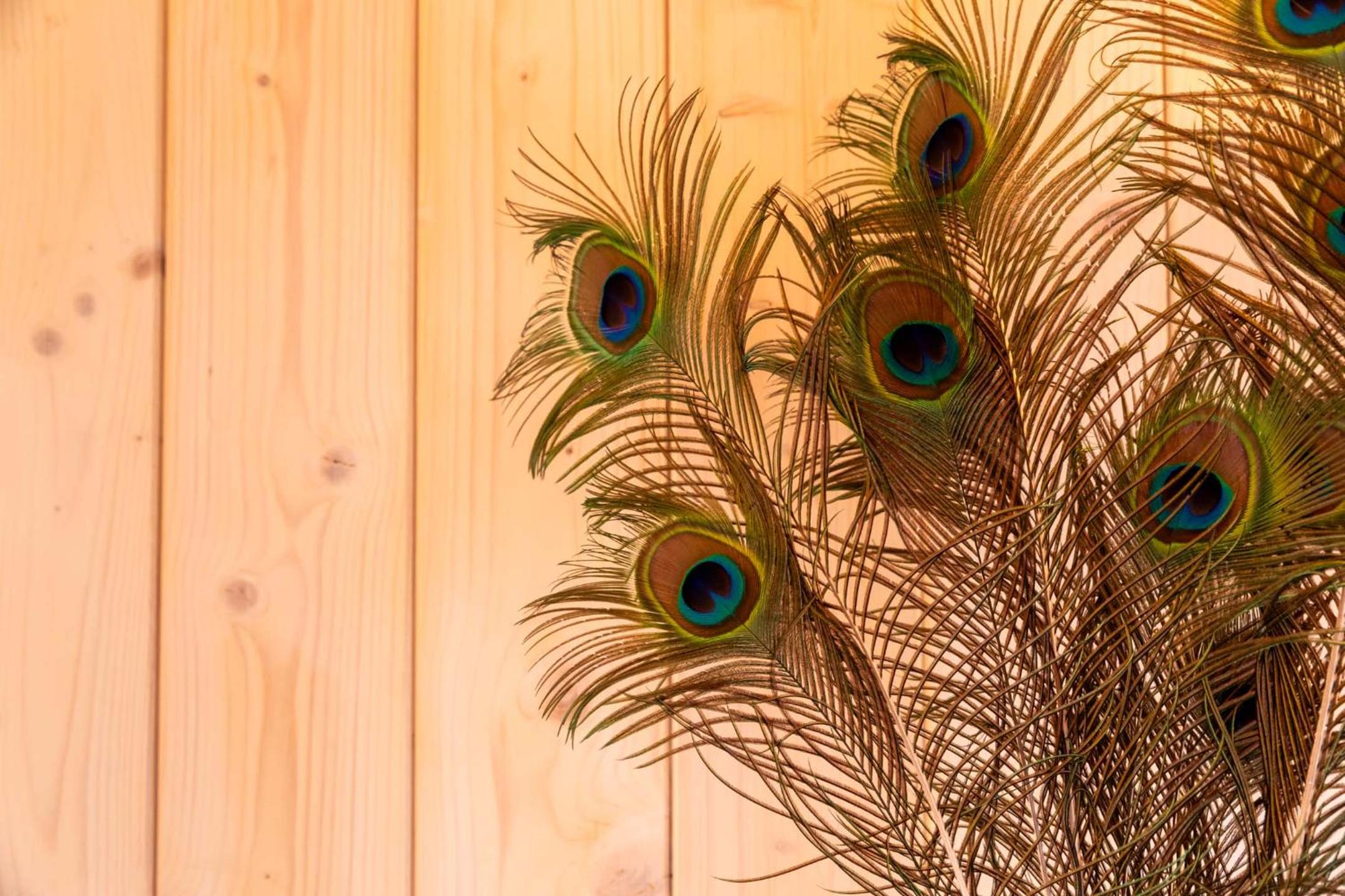 Dunas Luxury Beach Resort Tarifa