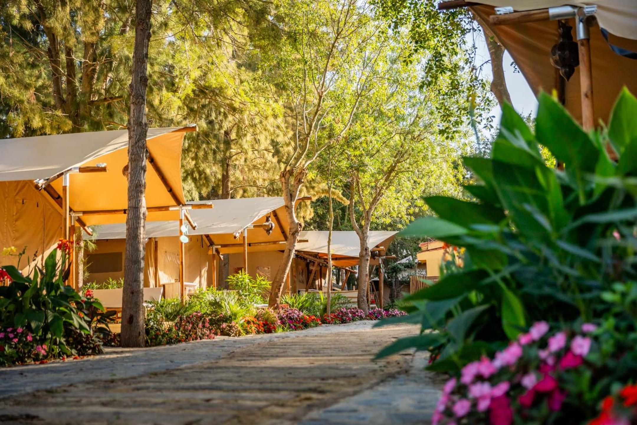 Dunas Luxury Beach Resort Tarifa