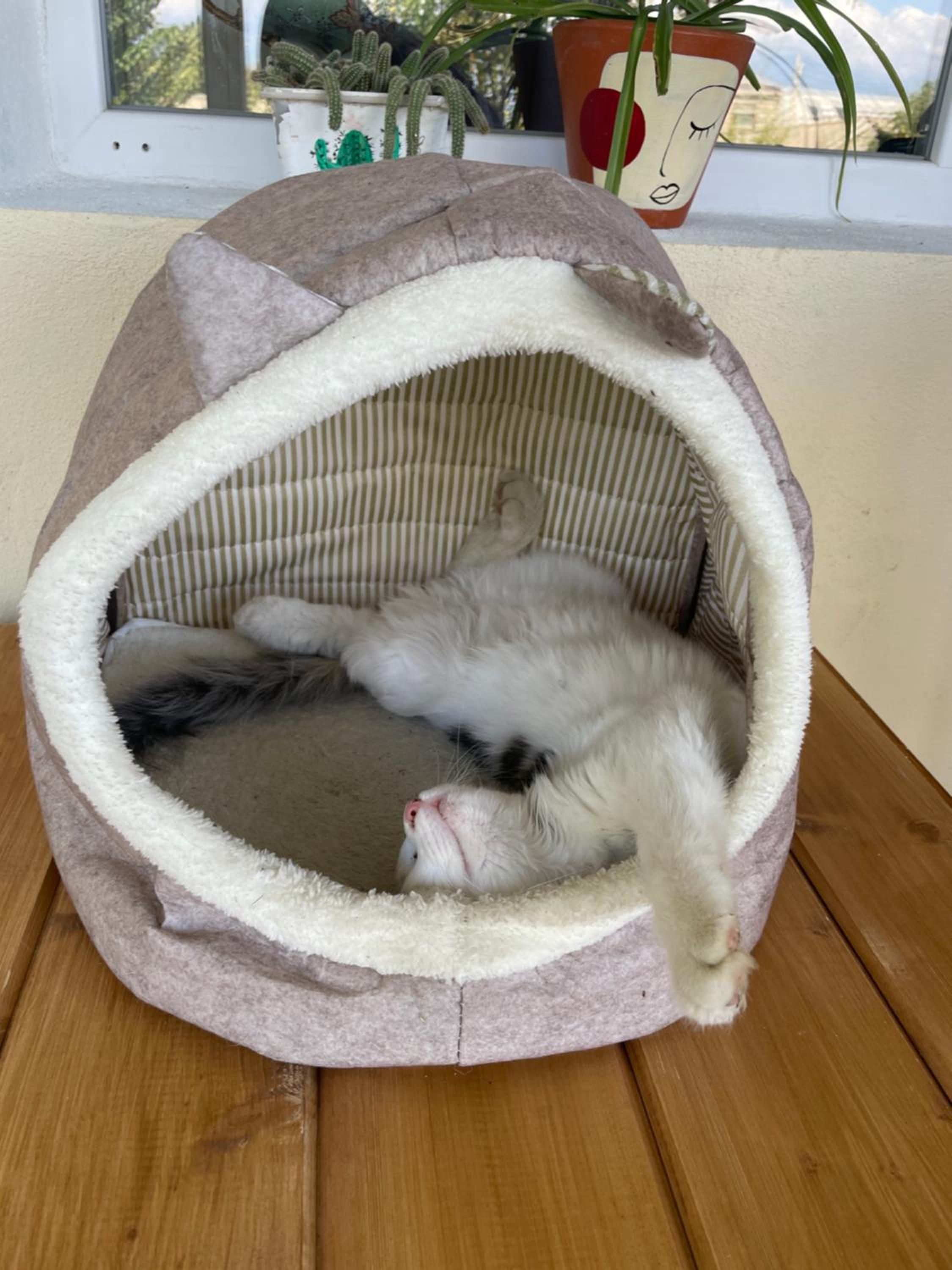 Friendly Home