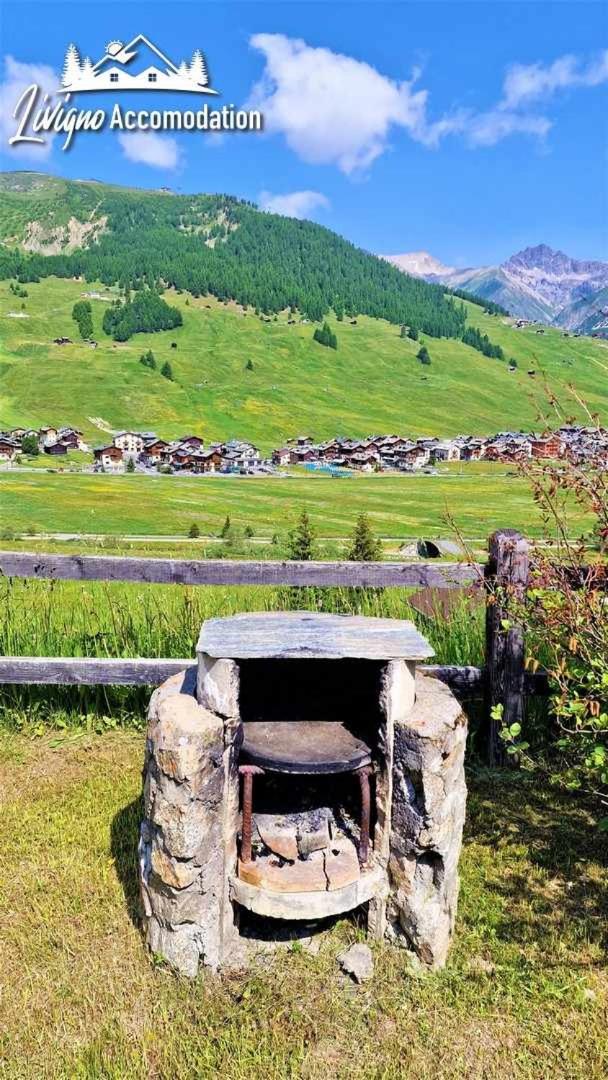 Chalet Rododendro Forést by Livigno Accomodation