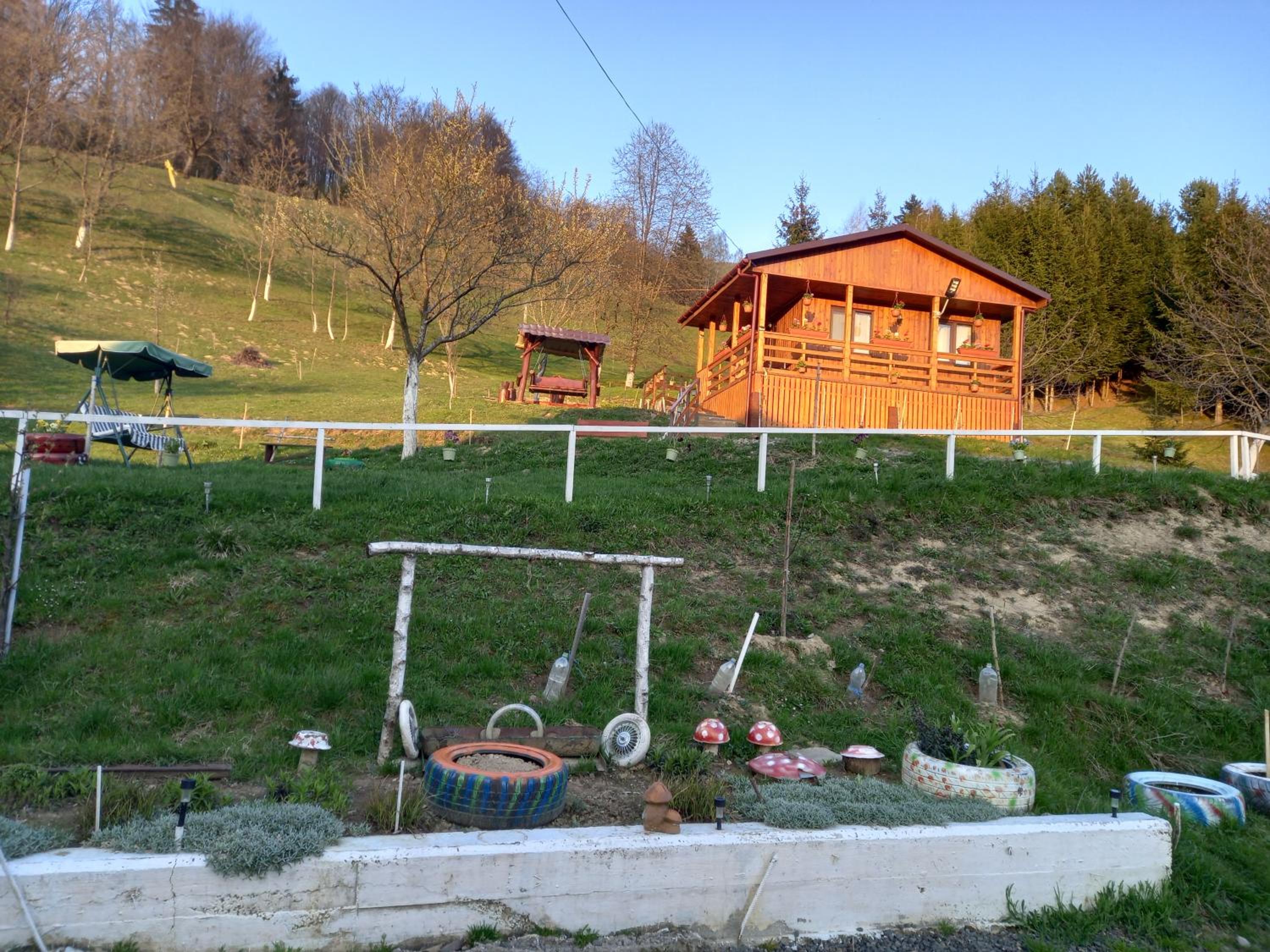 Photo 35