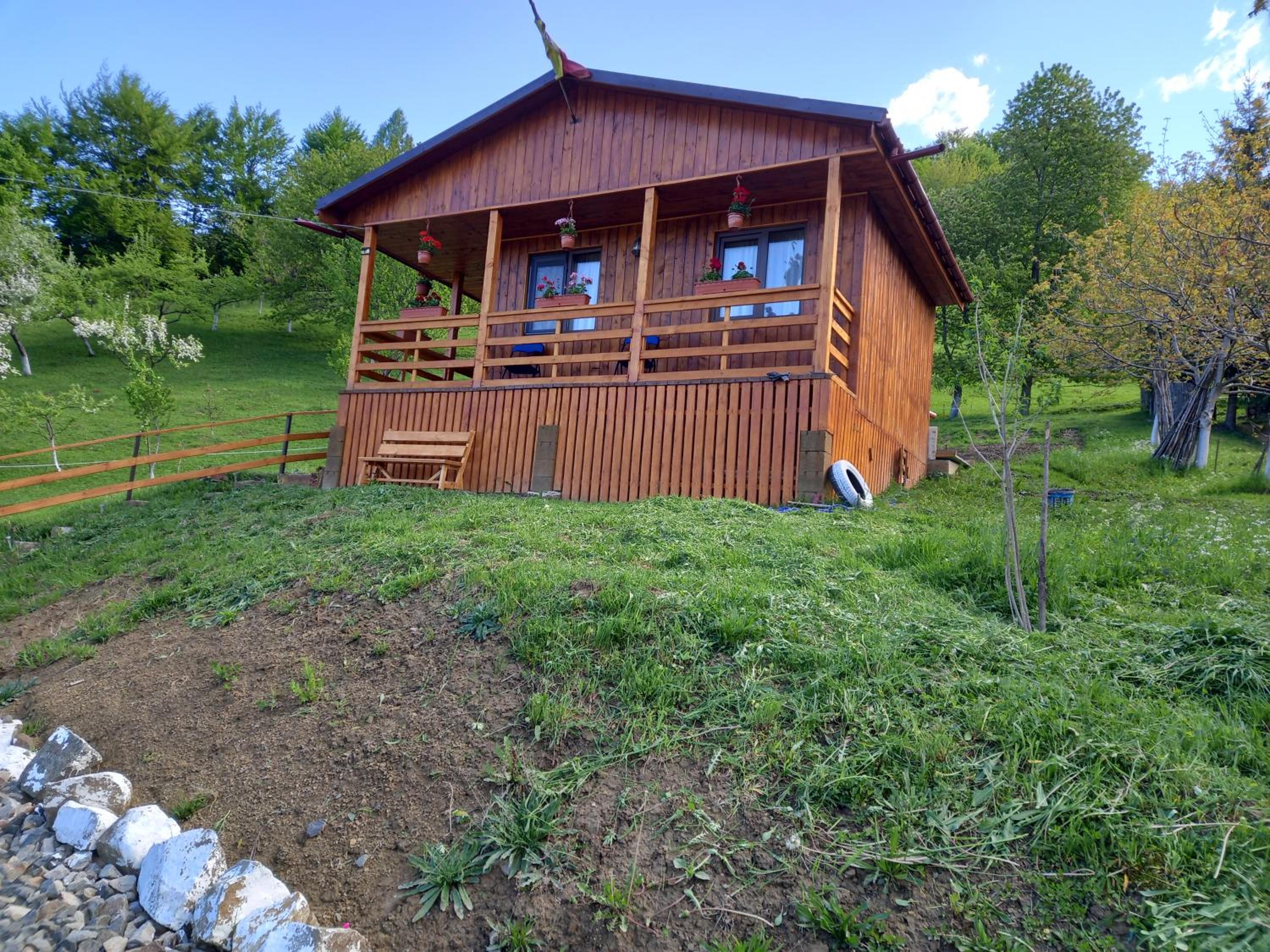 Photo 42
