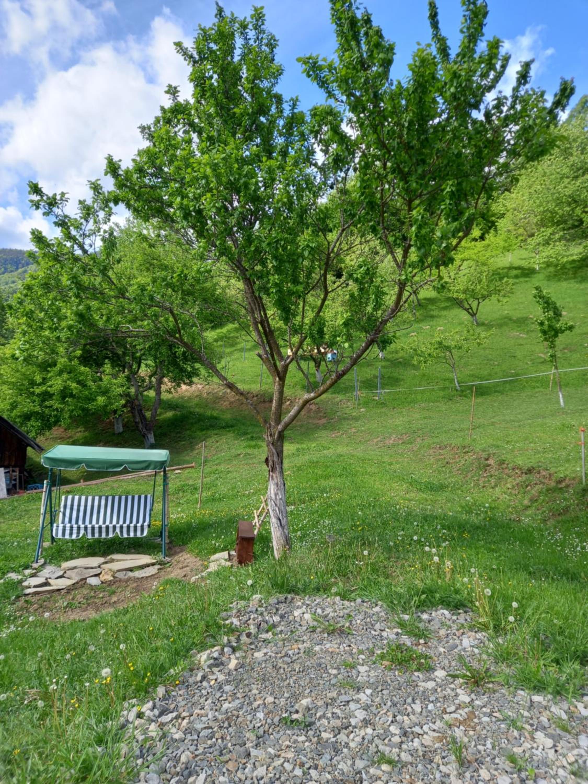 Photo 43