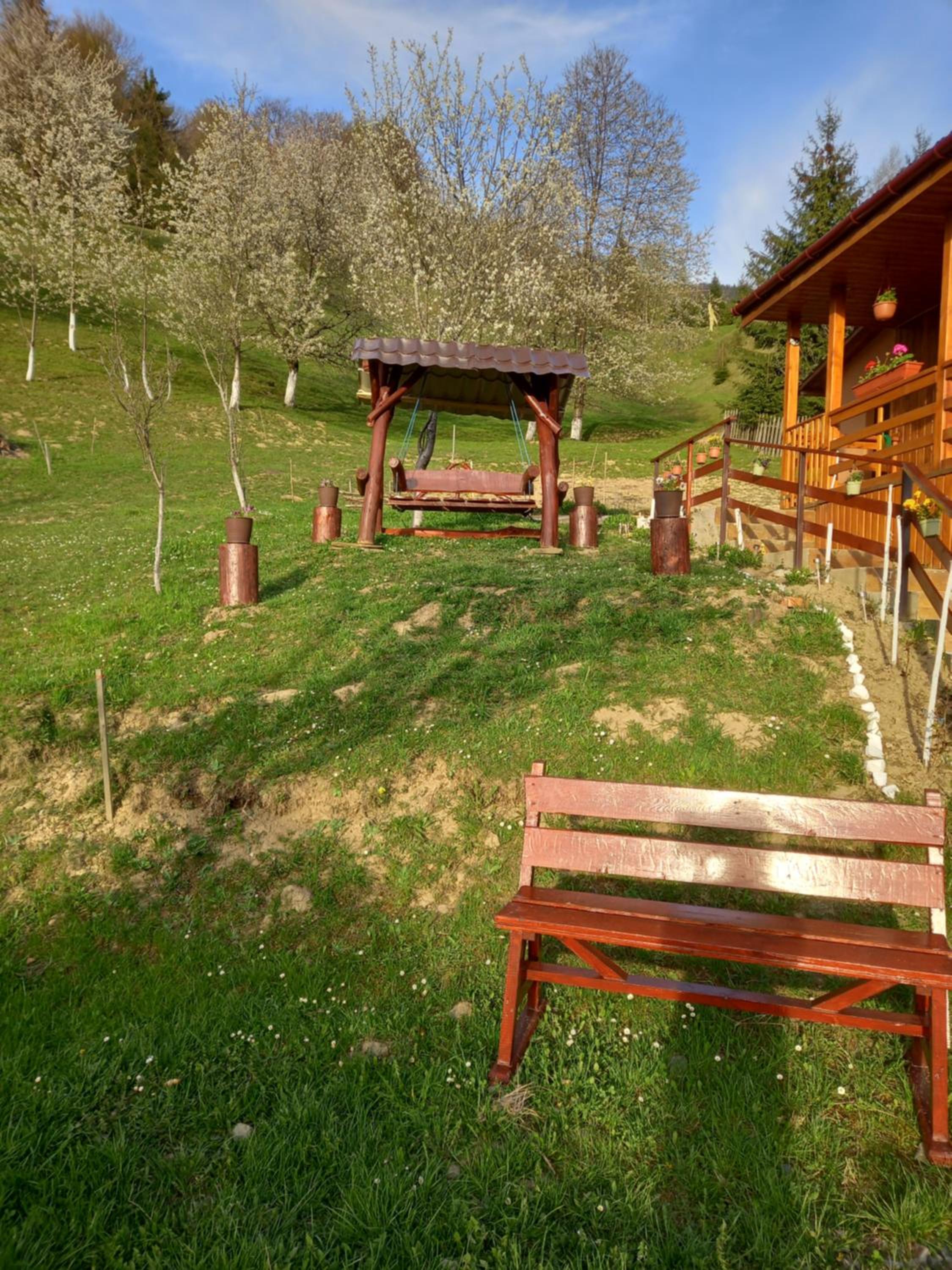 Photo 41