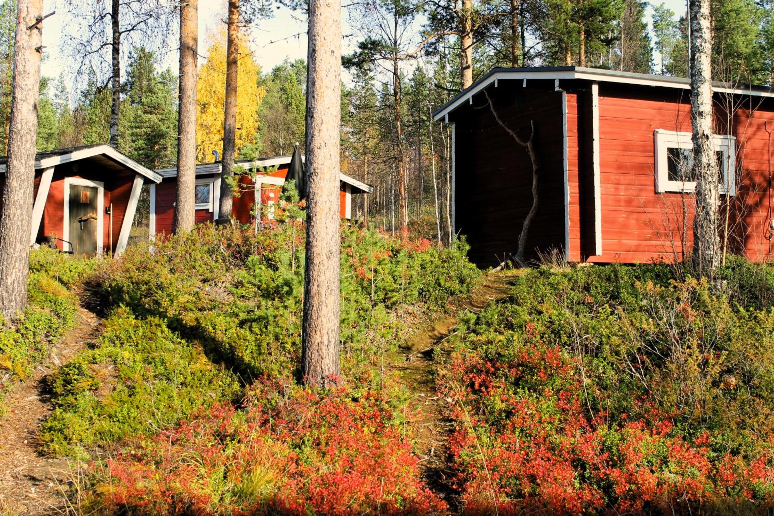 Ivalo River Camping