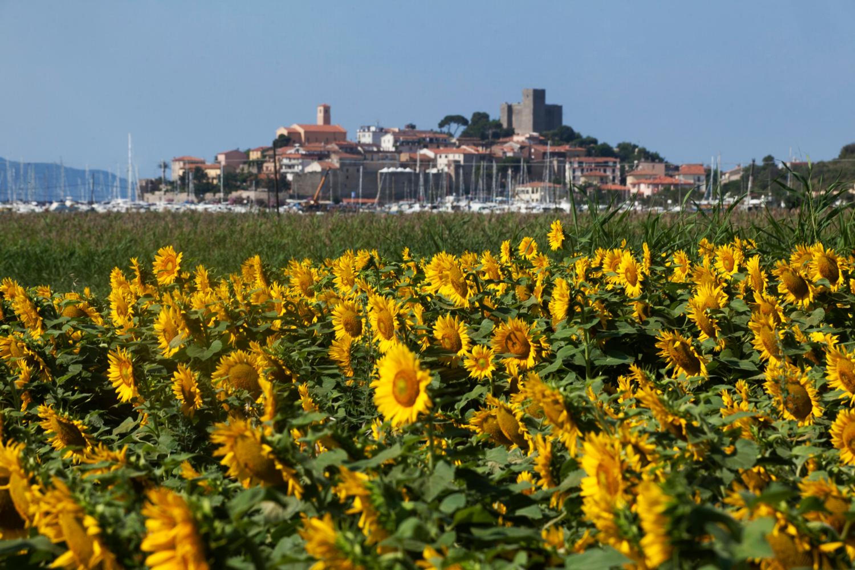 Appartamento Talamone - Santa Francesca view 4