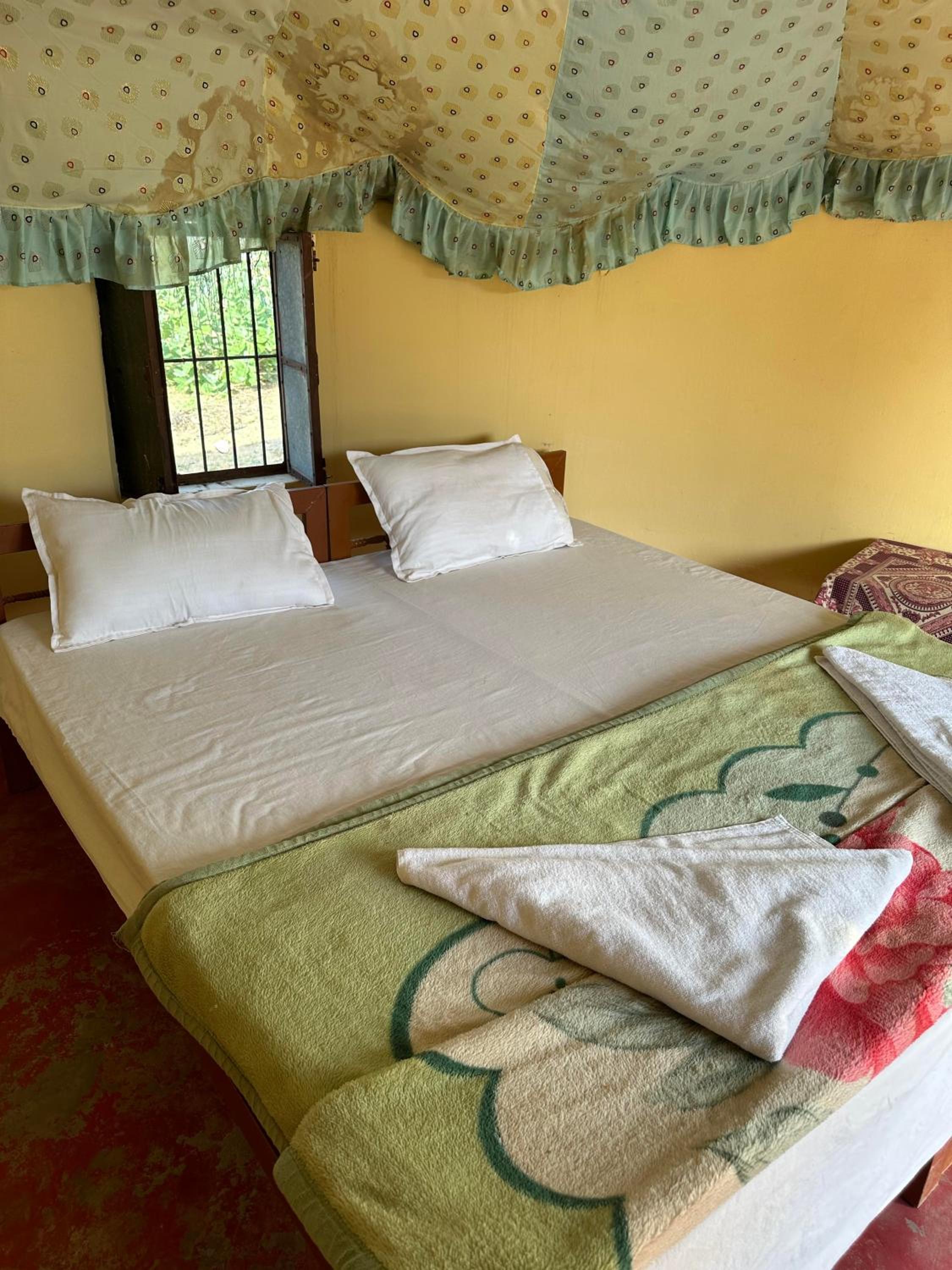 Photo 20