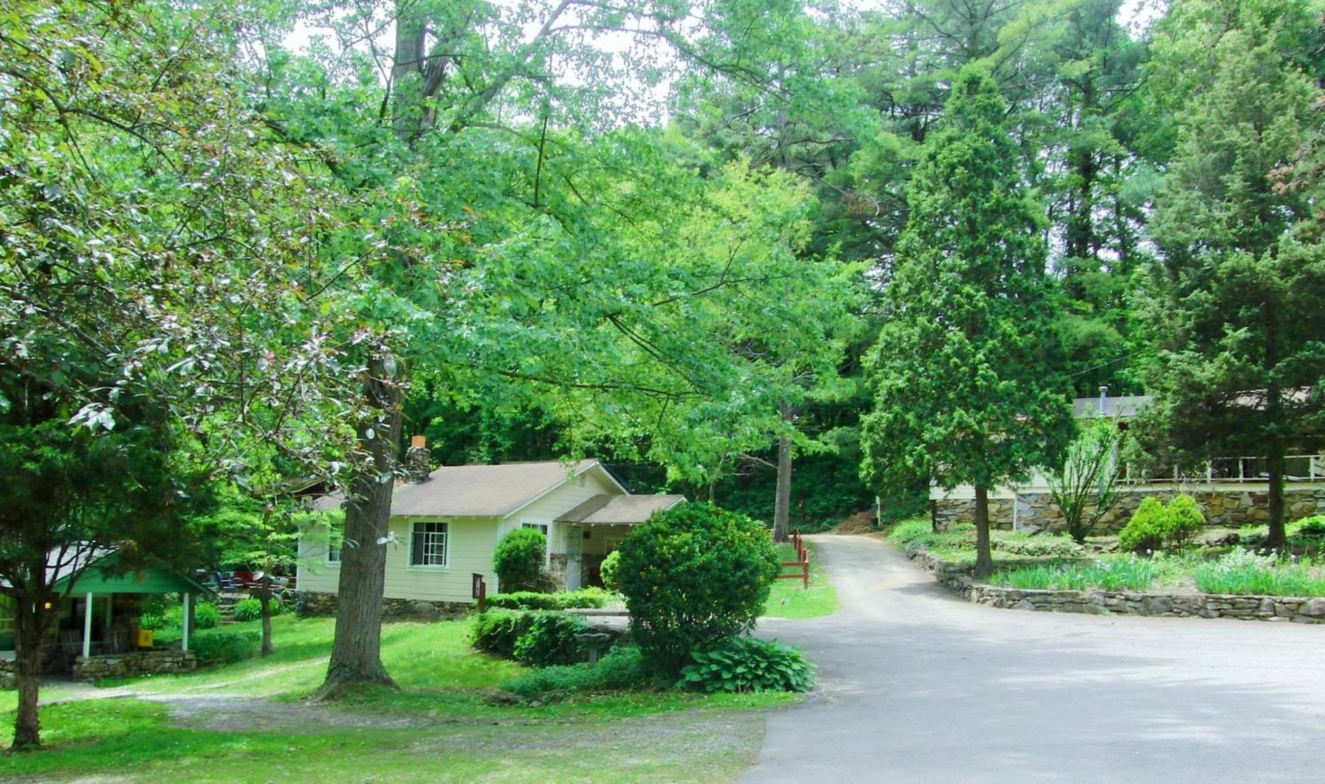 The Pines Cottages