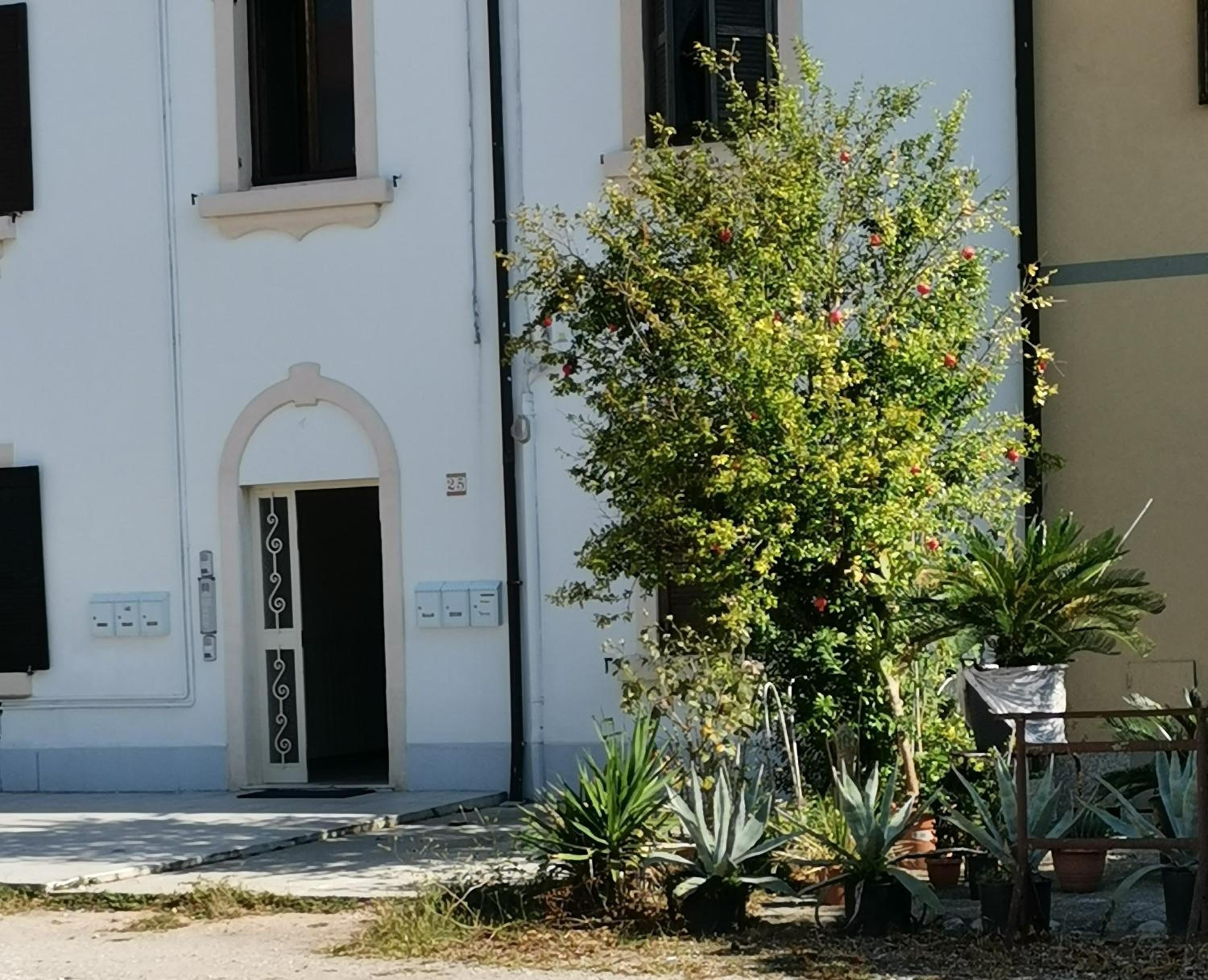 Residenza Il Melograno Fiera view 3