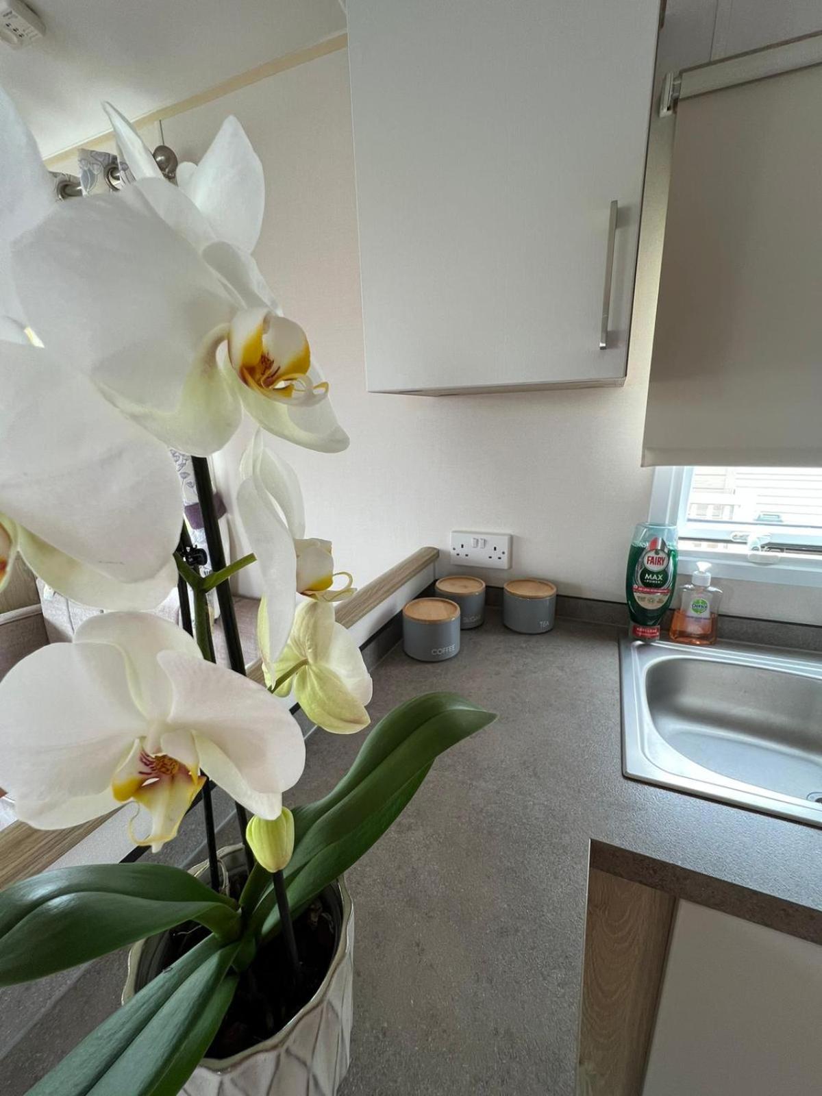 Luxurious Three Bedroom Caravan