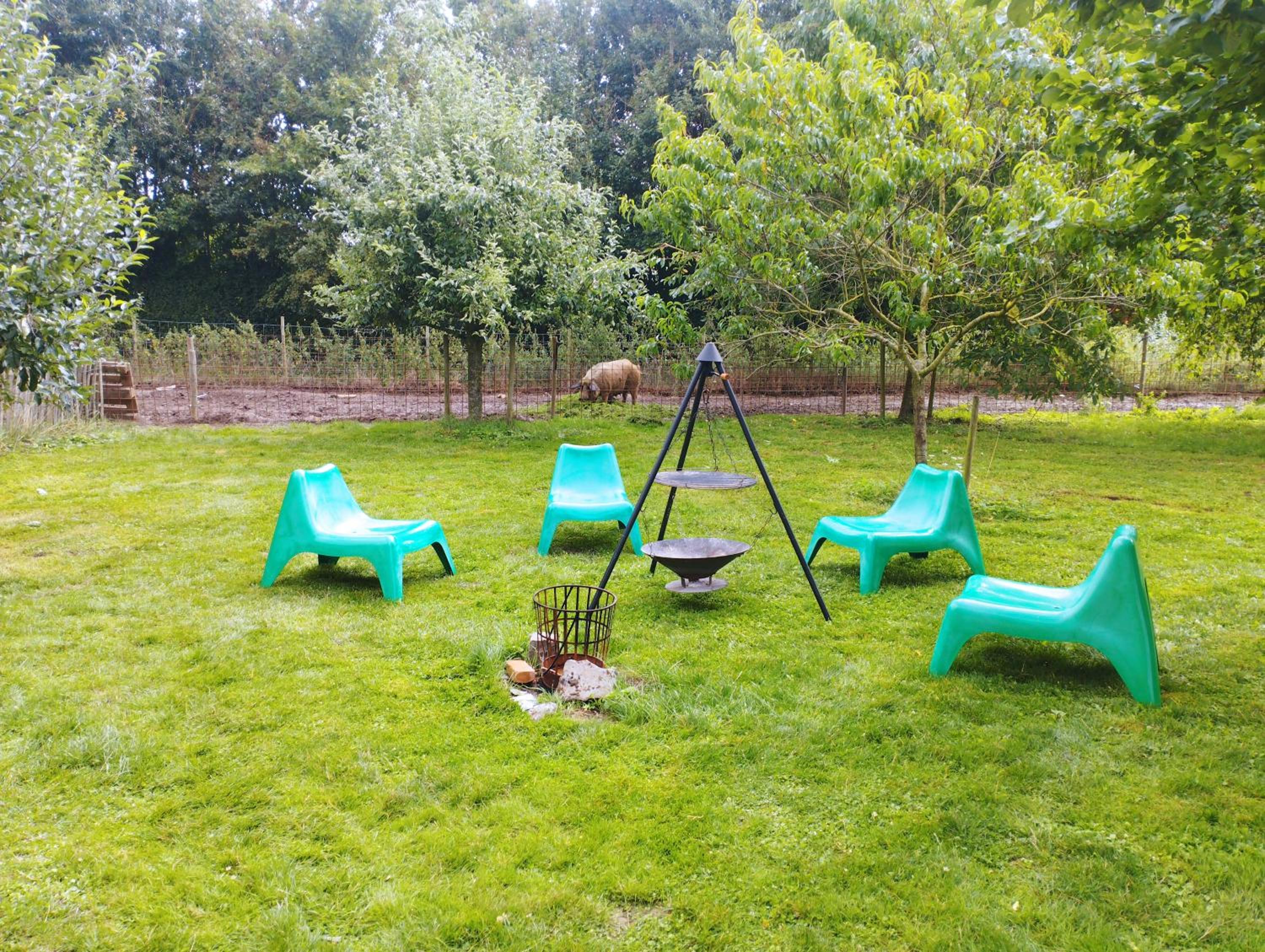 Belevingshoeve 