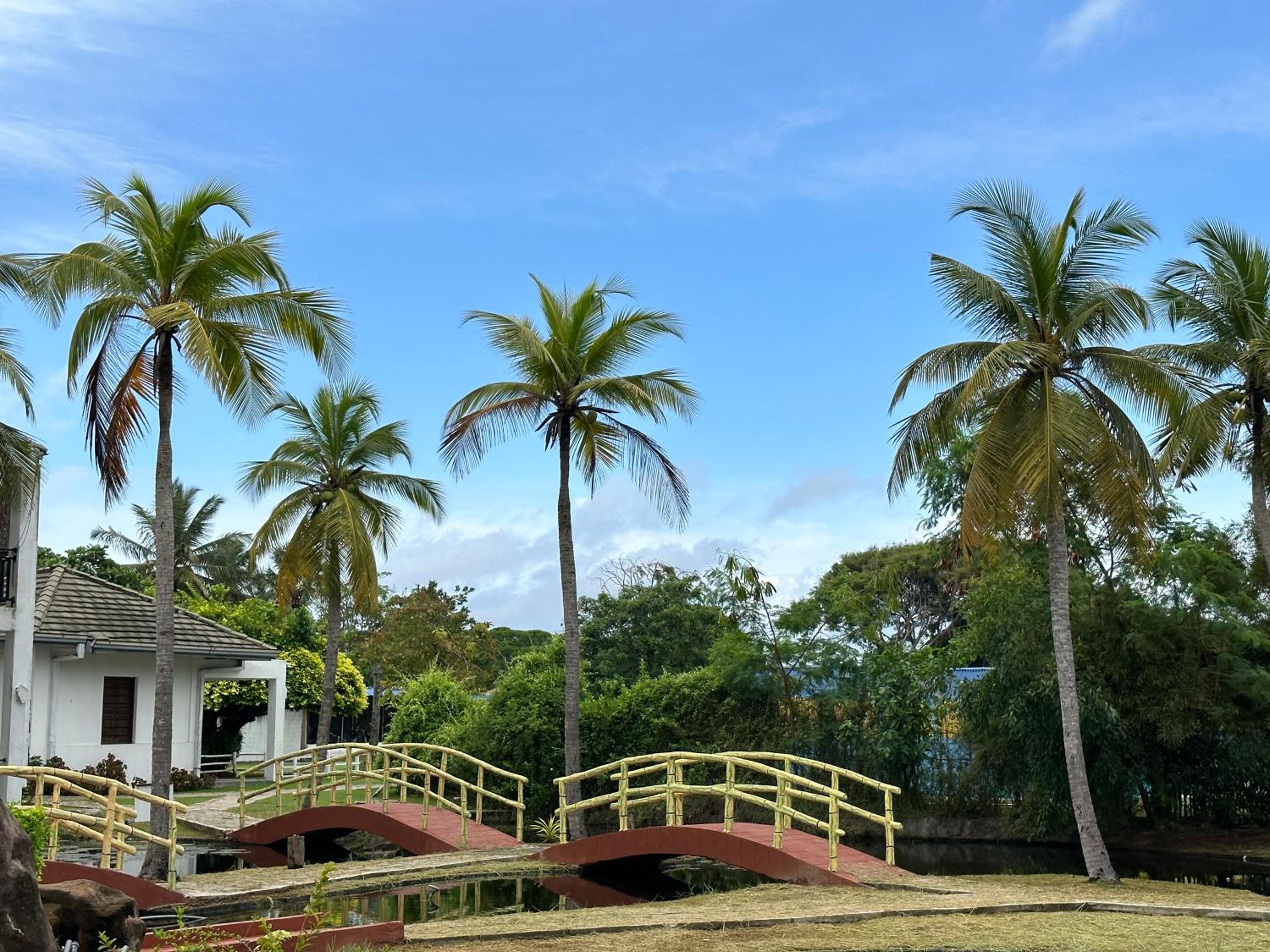 Amaluna Resorts — photo 146