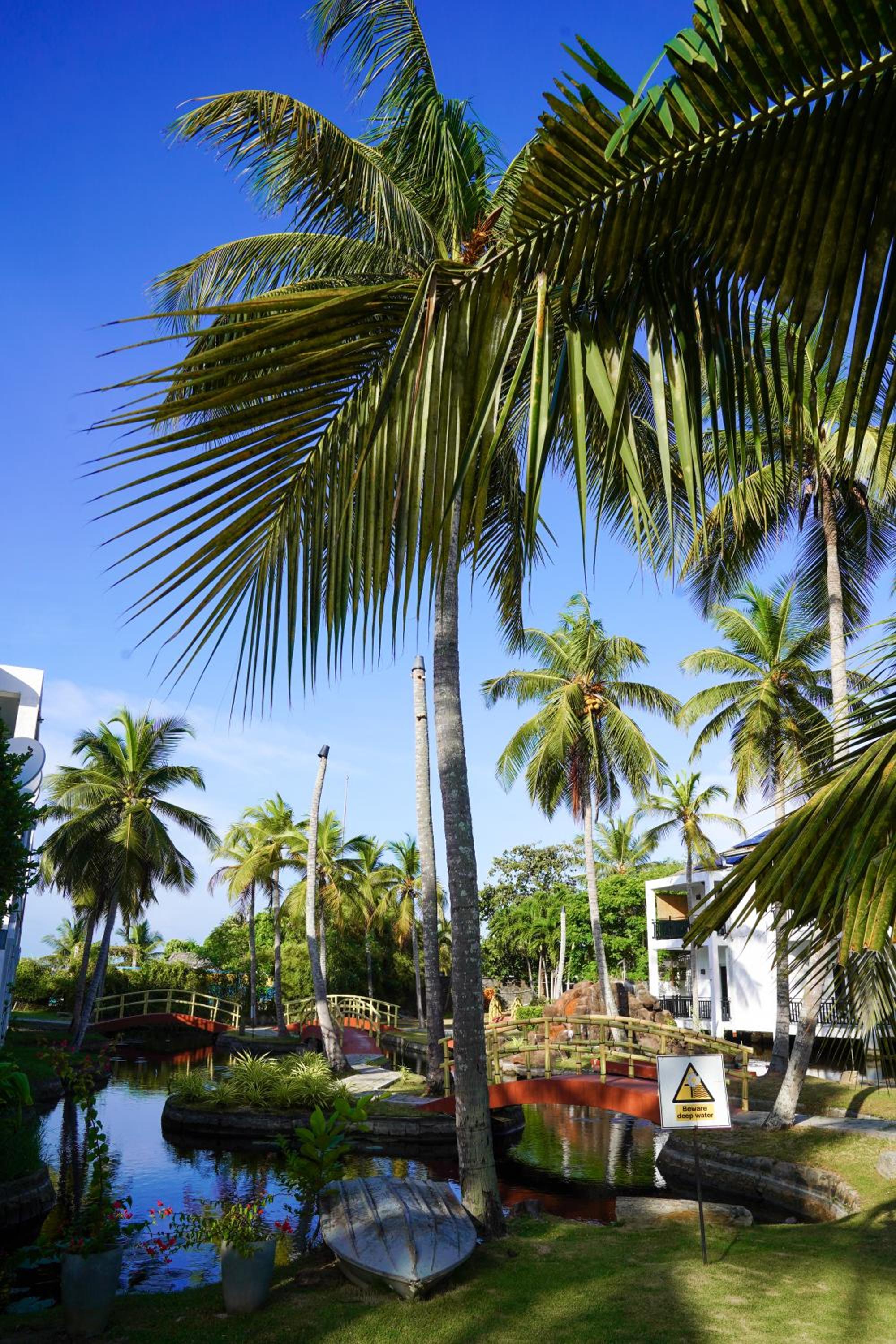 Amaluna Resorts — photo 38
