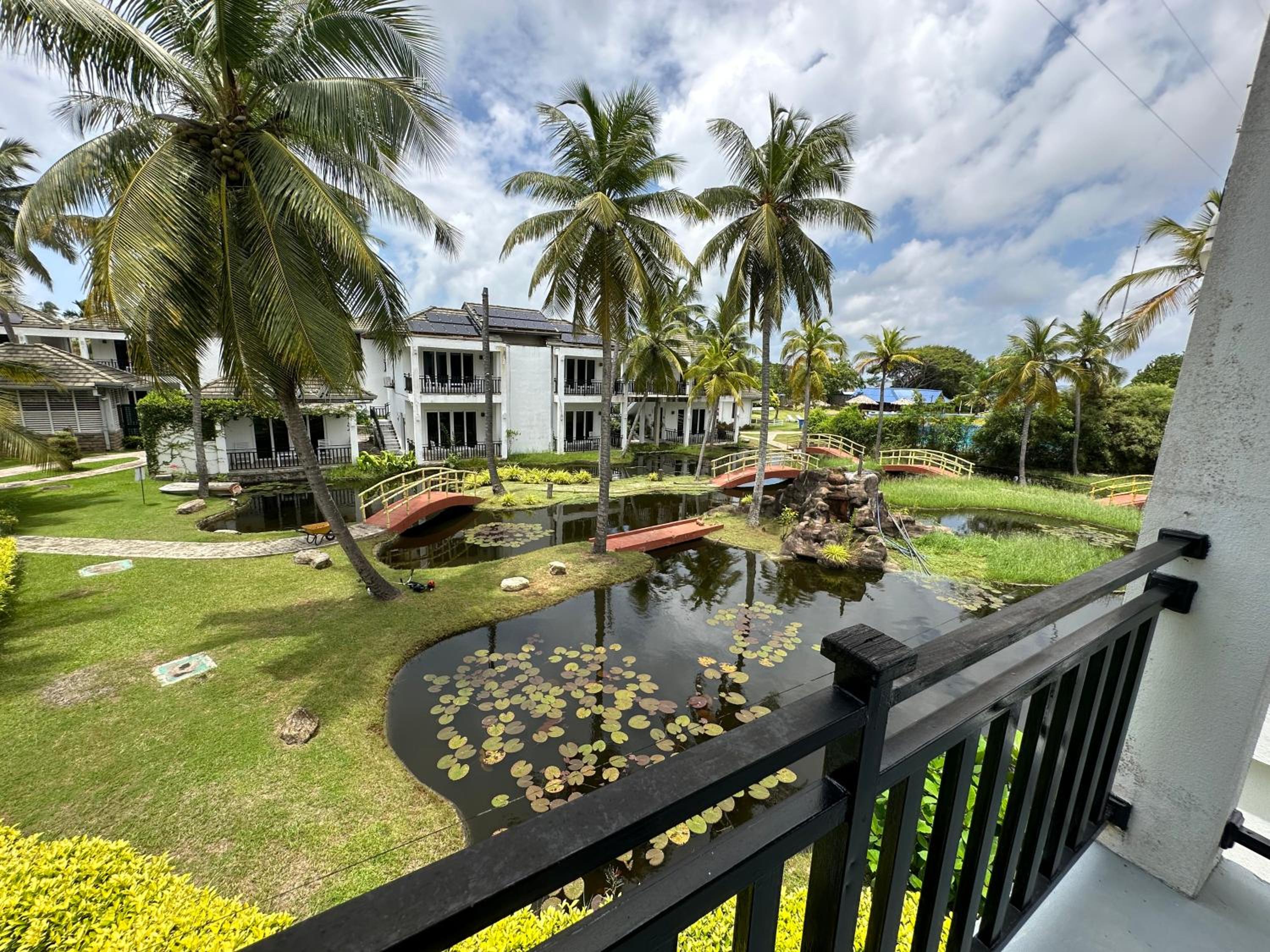 Amaluna Resorts — photo 101