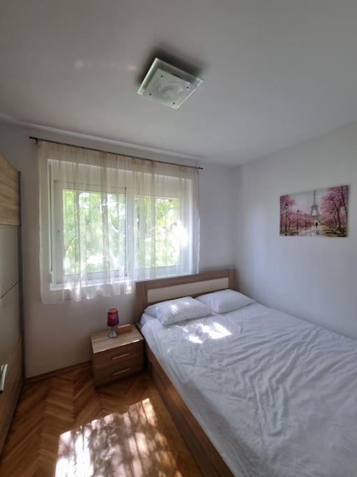 Cozy Central Apartment next to Bus and Train Station