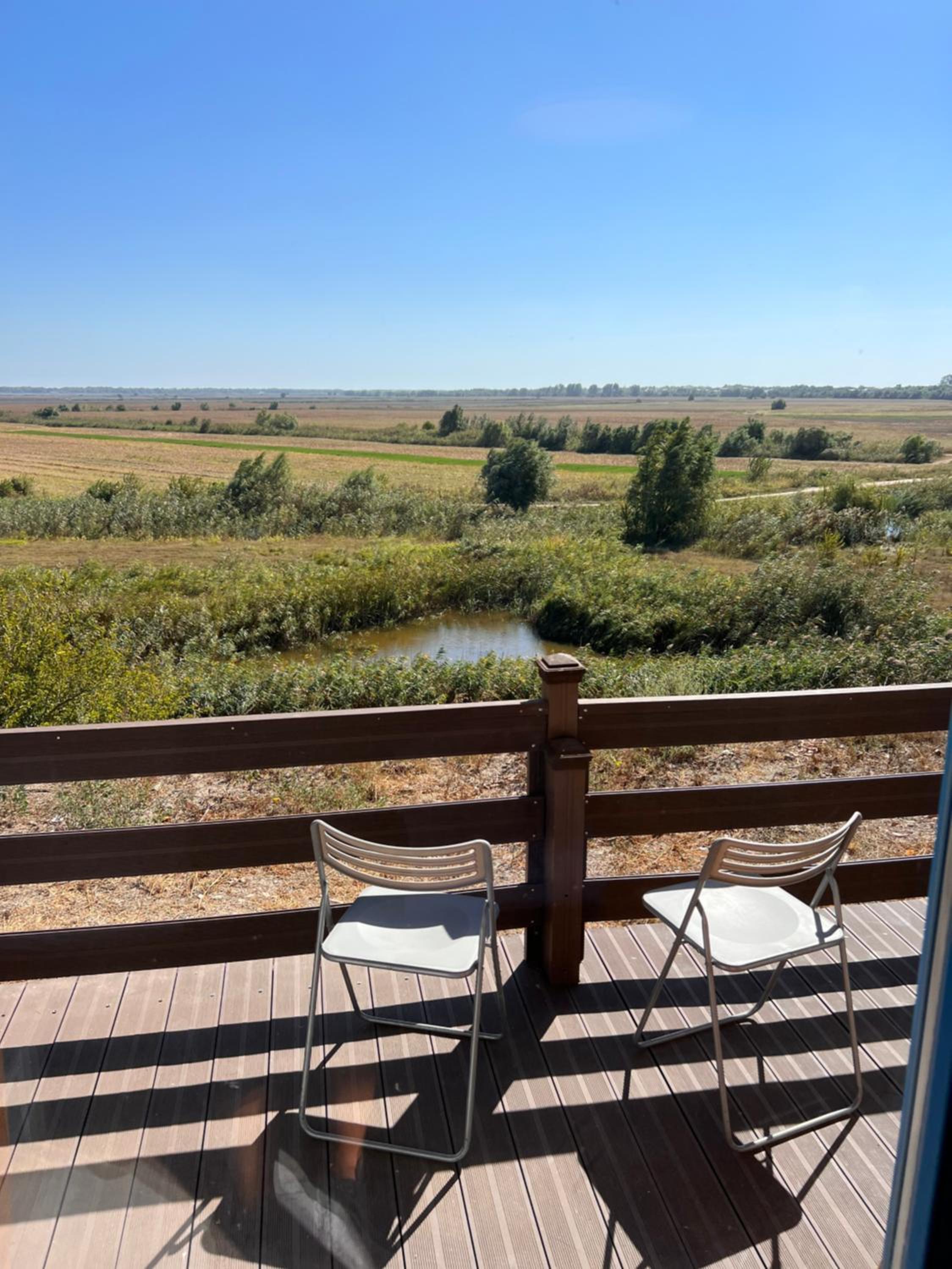 Danube Delta View